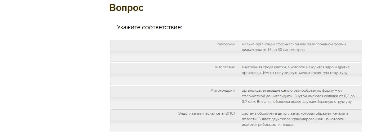Фото задания: Укажите соответствие: рибосомы; цитоплазма; митохондрии; эндоплазматическая сеть (ЭПС).