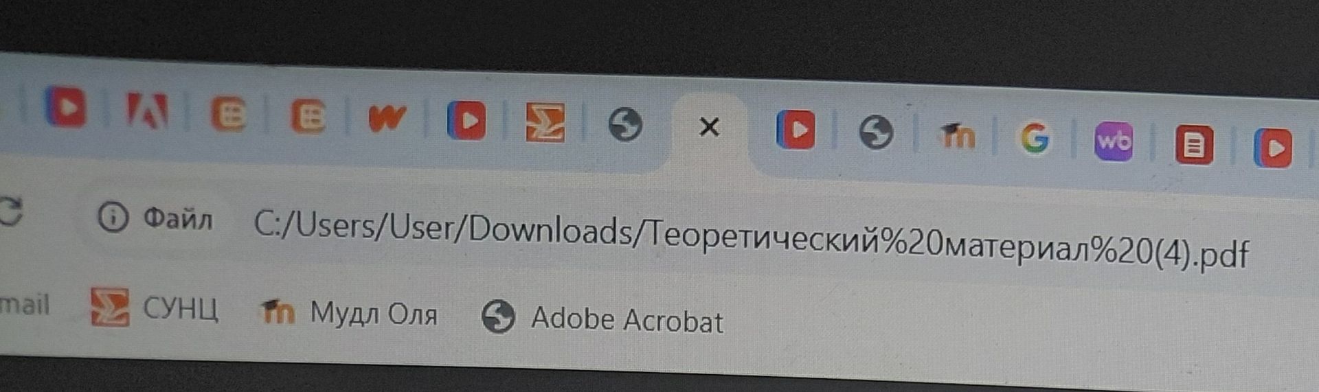 Фото задания: На изображении задания отсутствуют; видны только элементы интерфейса браузера и путь к PDF-файлу.