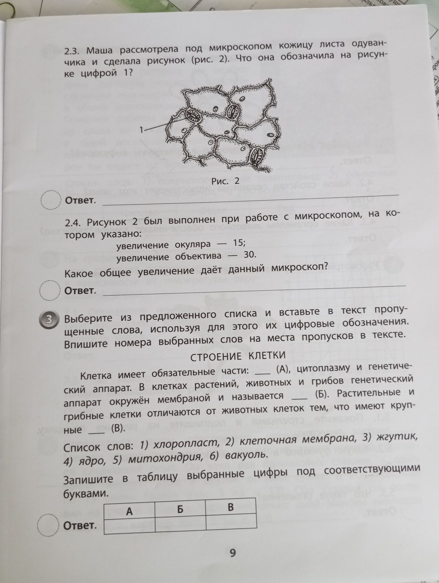 Фото задания: 2.3. Маша рассмотрела под микроскопом кожицу листа одуванчика и сделала рисунок (рис. 2). Что она обозначила на рисунке…