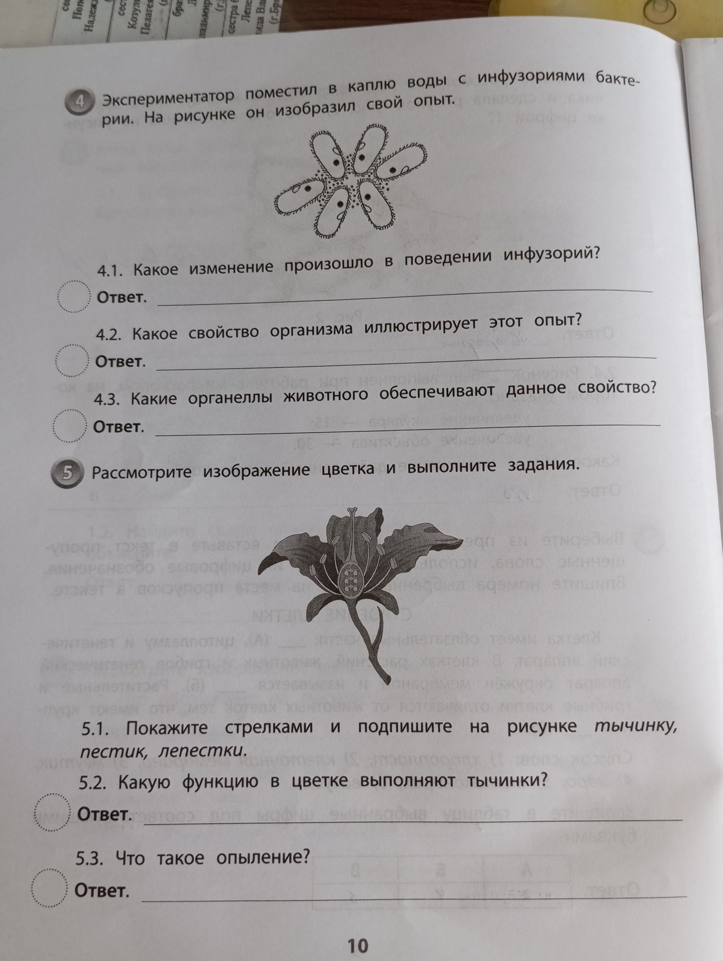 Фото задания: 4.1. Какое изменение произошло в поведении инфузорий? 4.2. Какое свойство организма иллюстрирует этот опыт? 4.3. Какие…