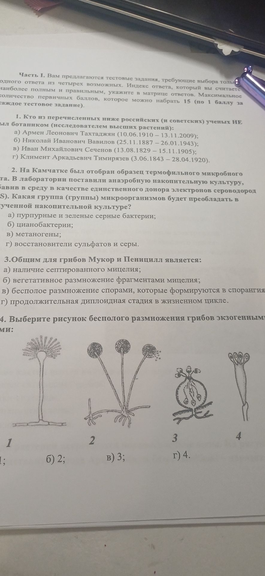 Фото задания: 4. Выберите рисунок бесполого размножения грибов экзогенными спорами: 1, 2, 3 или 4.