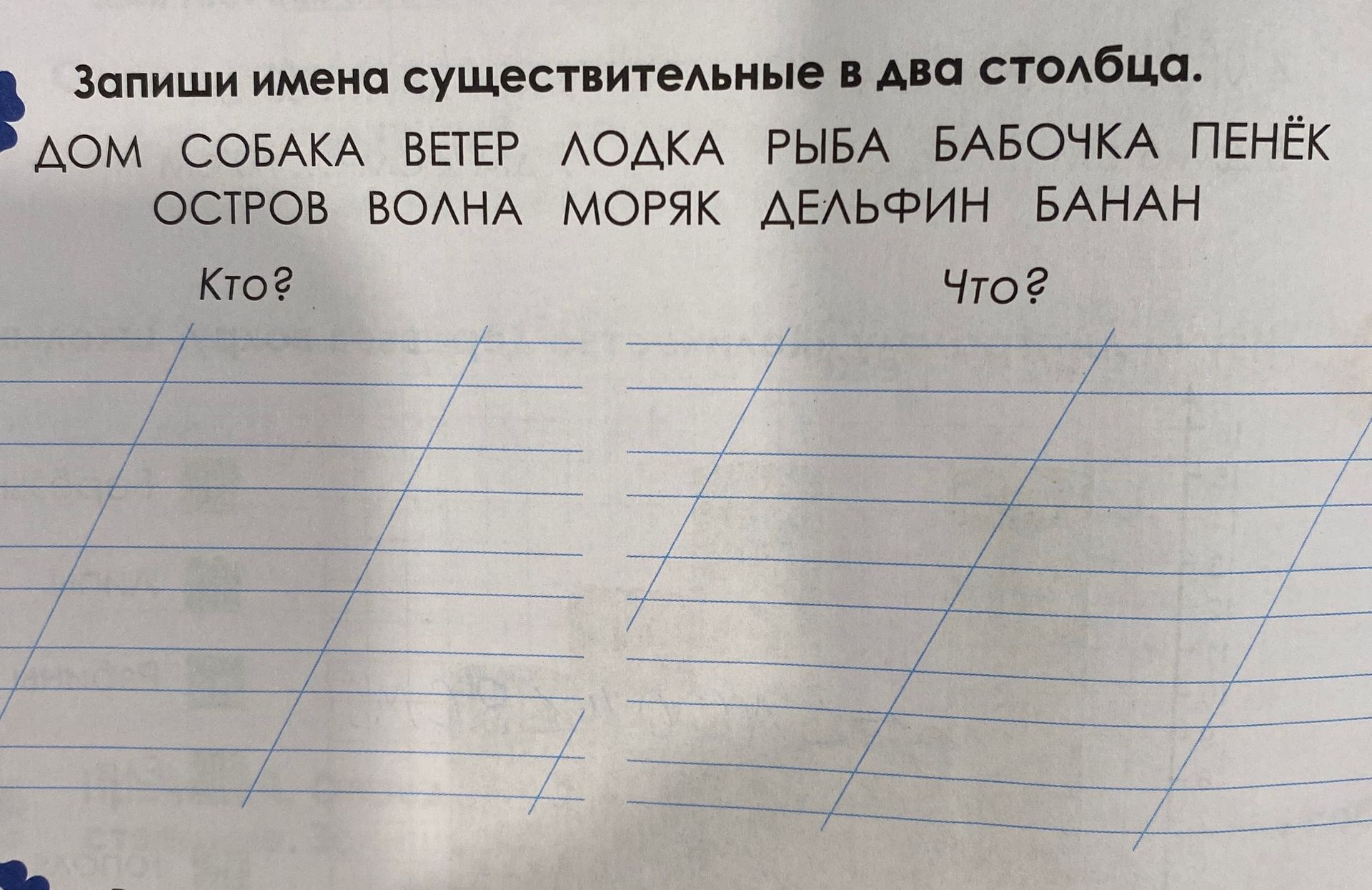 Фото задания: Запиши имена существительные в два столбца: «Кто?» и «Что?». ДОМ, СОБАКА, ВЕТЕР, ЛОДКА, РЫБА, БАБОЧКА, ПЕНЁК, ОСТРОВ,…