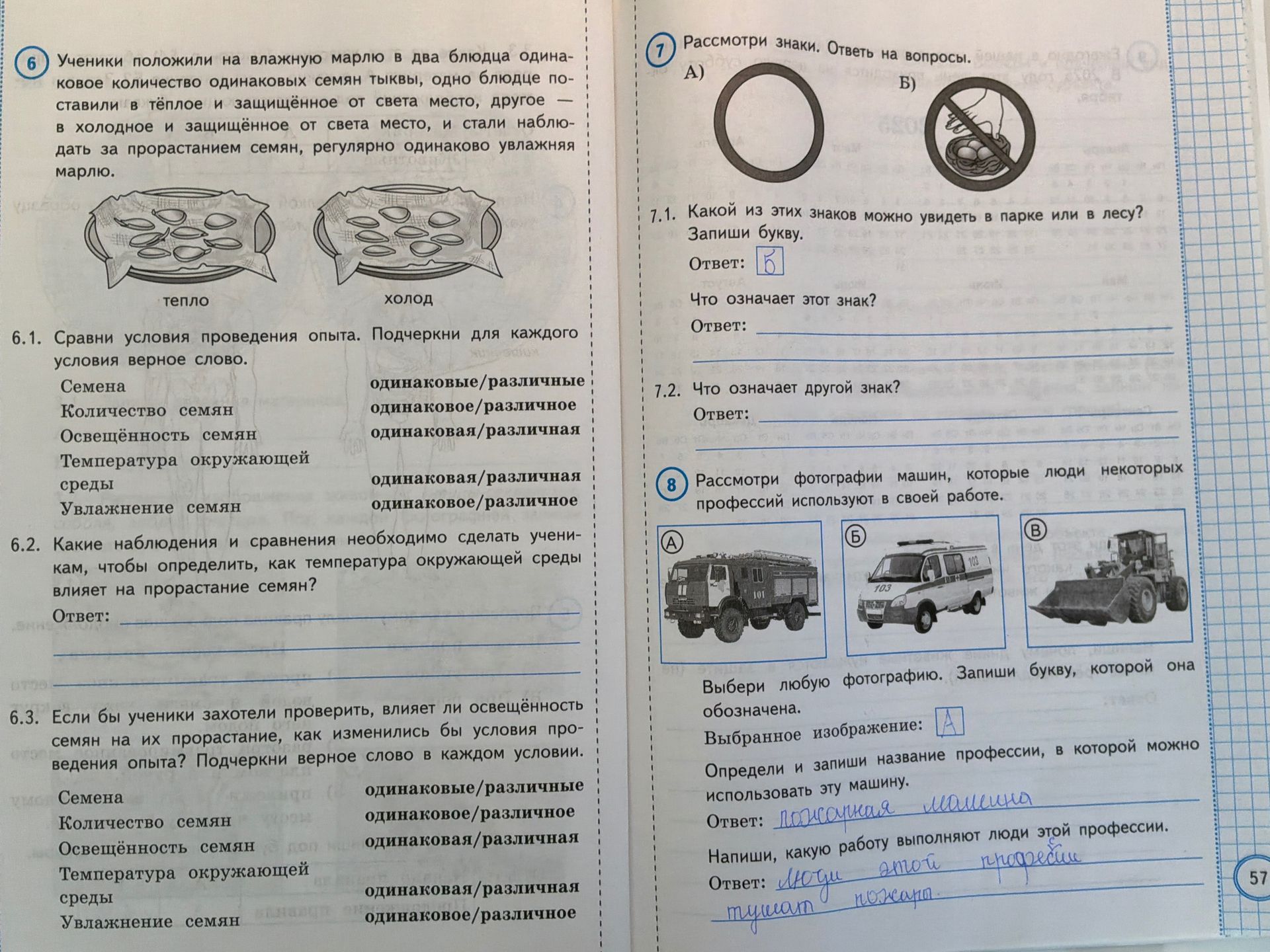 Фото задания: 7. Рассмотри знаки. Ответь на вопросы. 7.1. Какой из этих знаков можно увидеть в парке или в лесу? Запиши букву. Что означает…