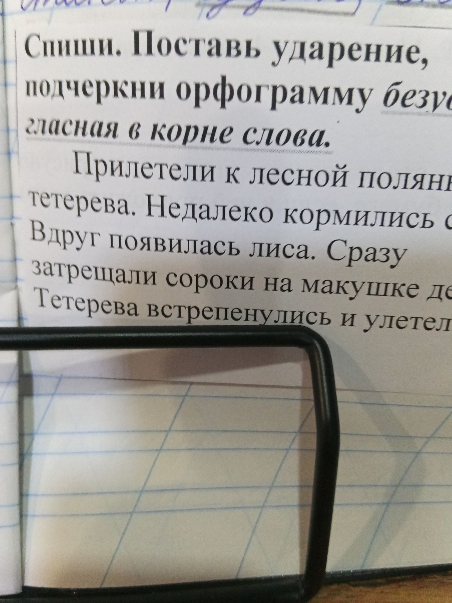 Фото задания: Спиши. Поставь ударение, подчеркни орфограмму безударная гласная в корне слова. Прилагательному к лесной поляне подлетела…