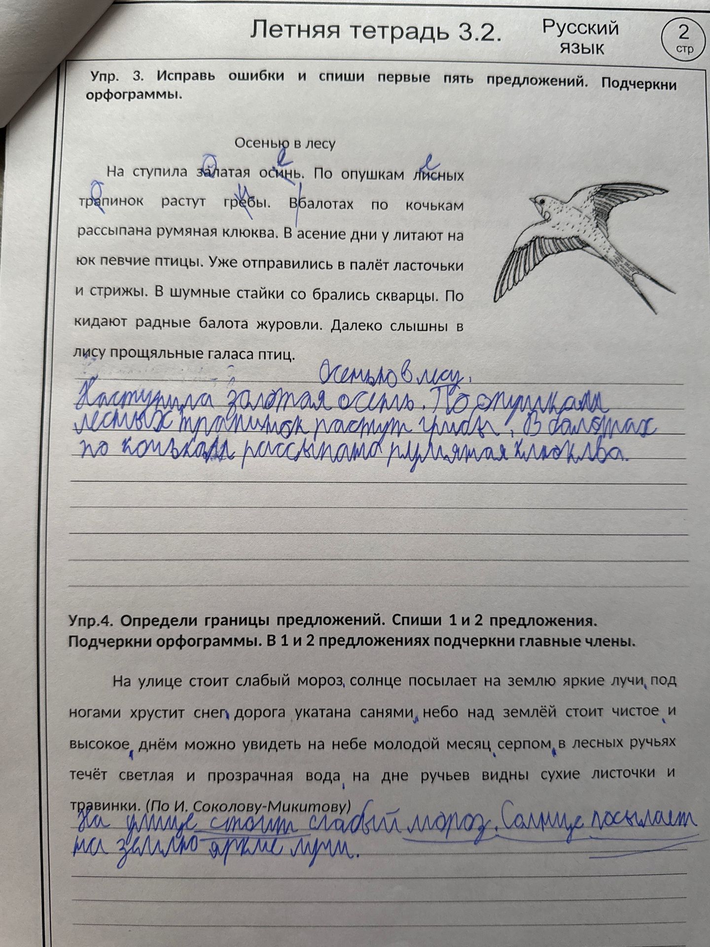 Фото задания: Упр. 3. Исправь ошибки и спиши первые пять предложений. Подчеркни орфограммы.