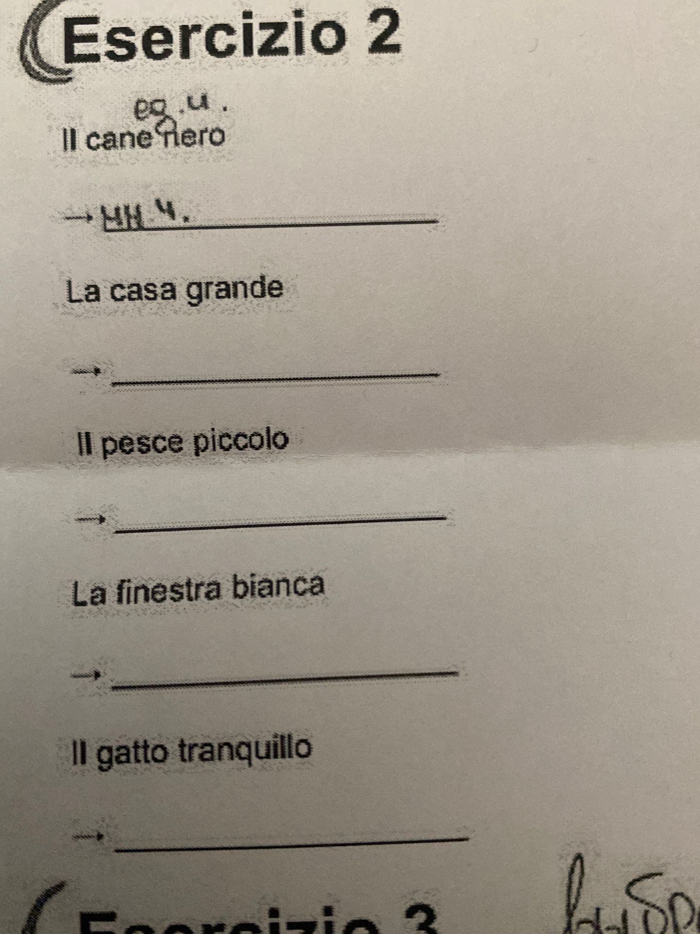 Фото задания: Inserisci l’articolo indeterminativo corretto: Il cane nero; La casa grande; Il pesce piccolo; La finestra bianca; Il gatto…