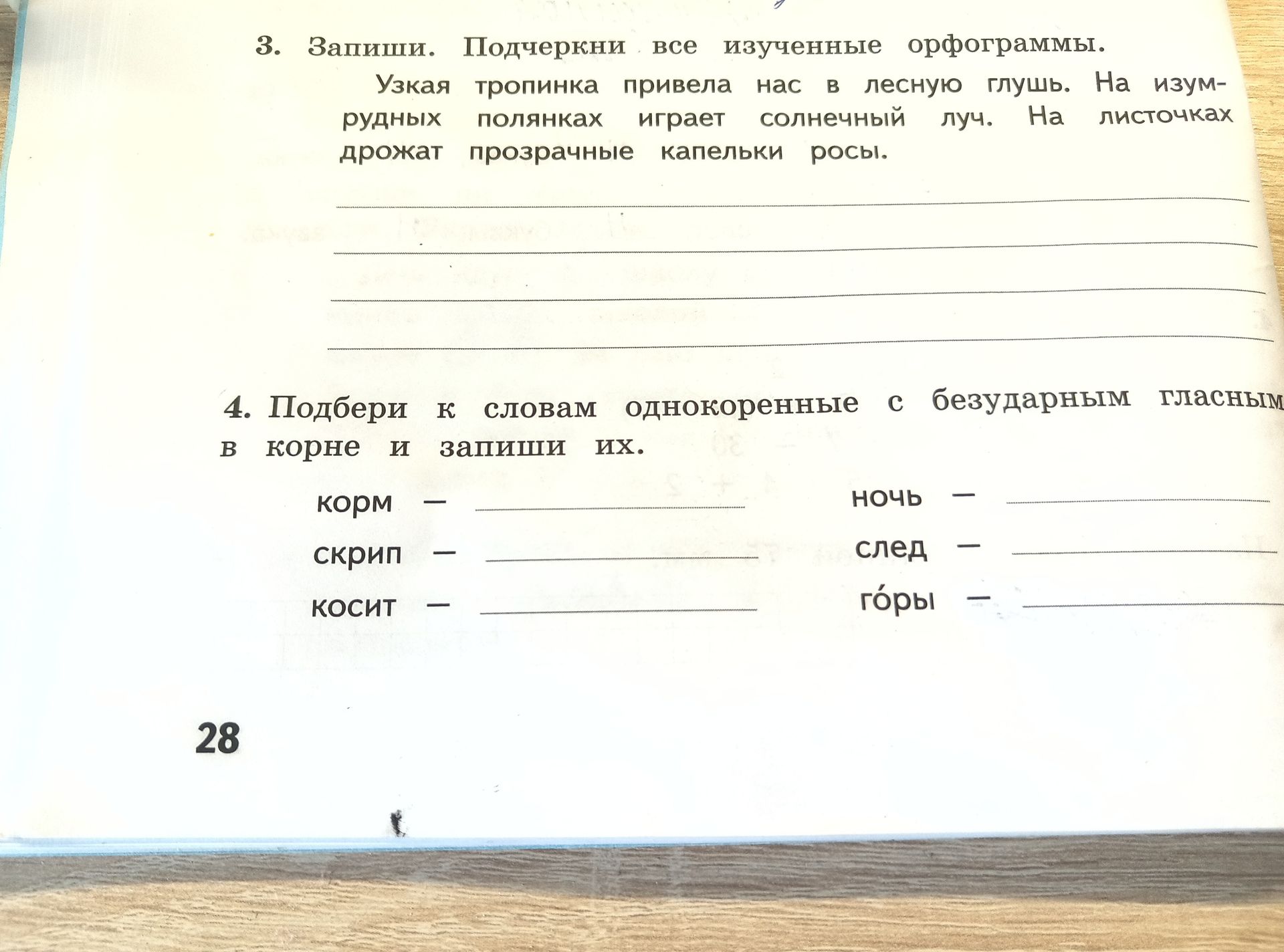 Фото задания: Подбери к словам однокоренные с безударным гласным в корне и запиши их: корм —; скрип —; косит —; ночь —; след —; горы —.