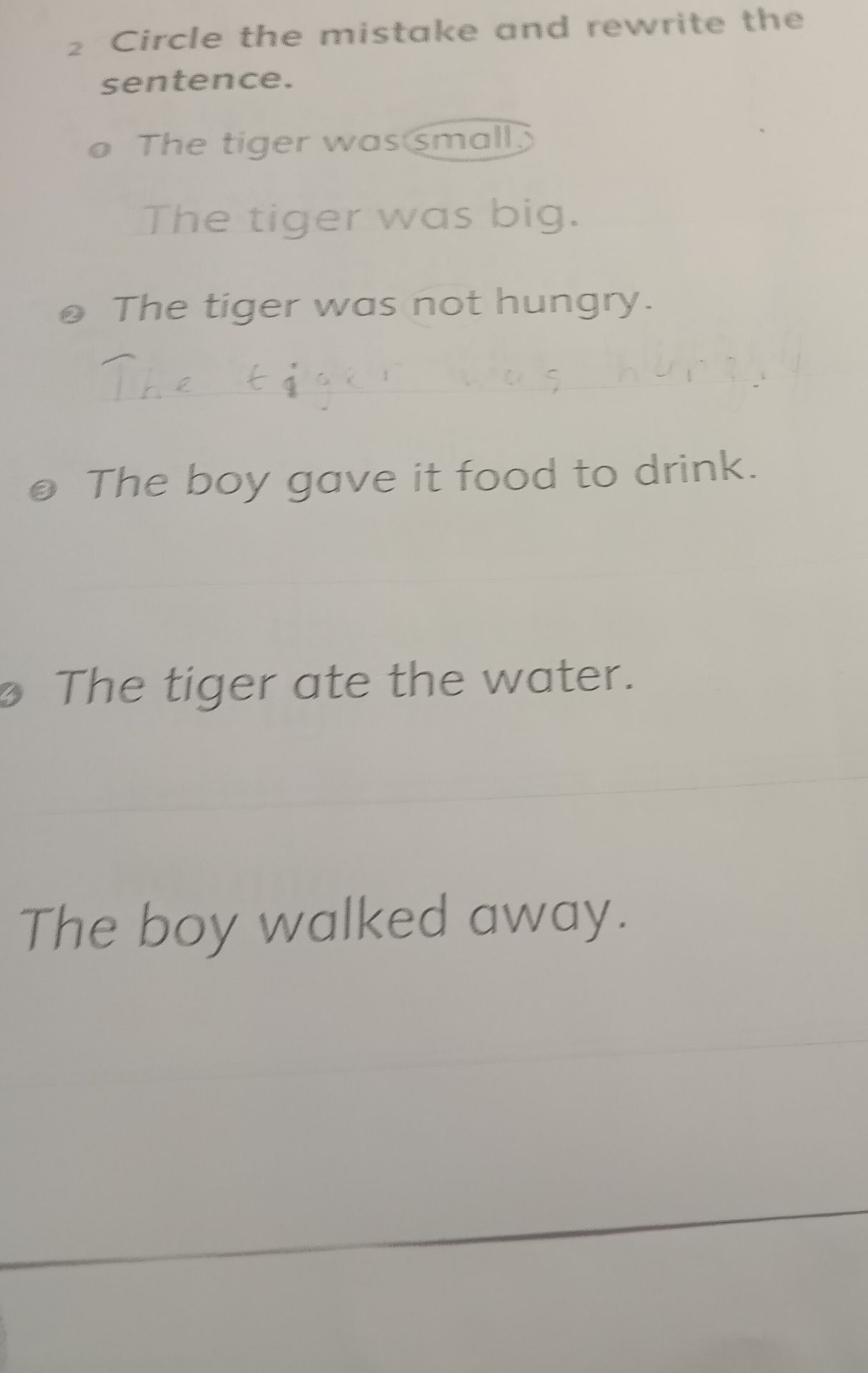 Фото задания: Circle the mistake and rewrite the sentence: 1) The tiger was small. 2) The tiger was not hungry. 3) The boy gave it food…