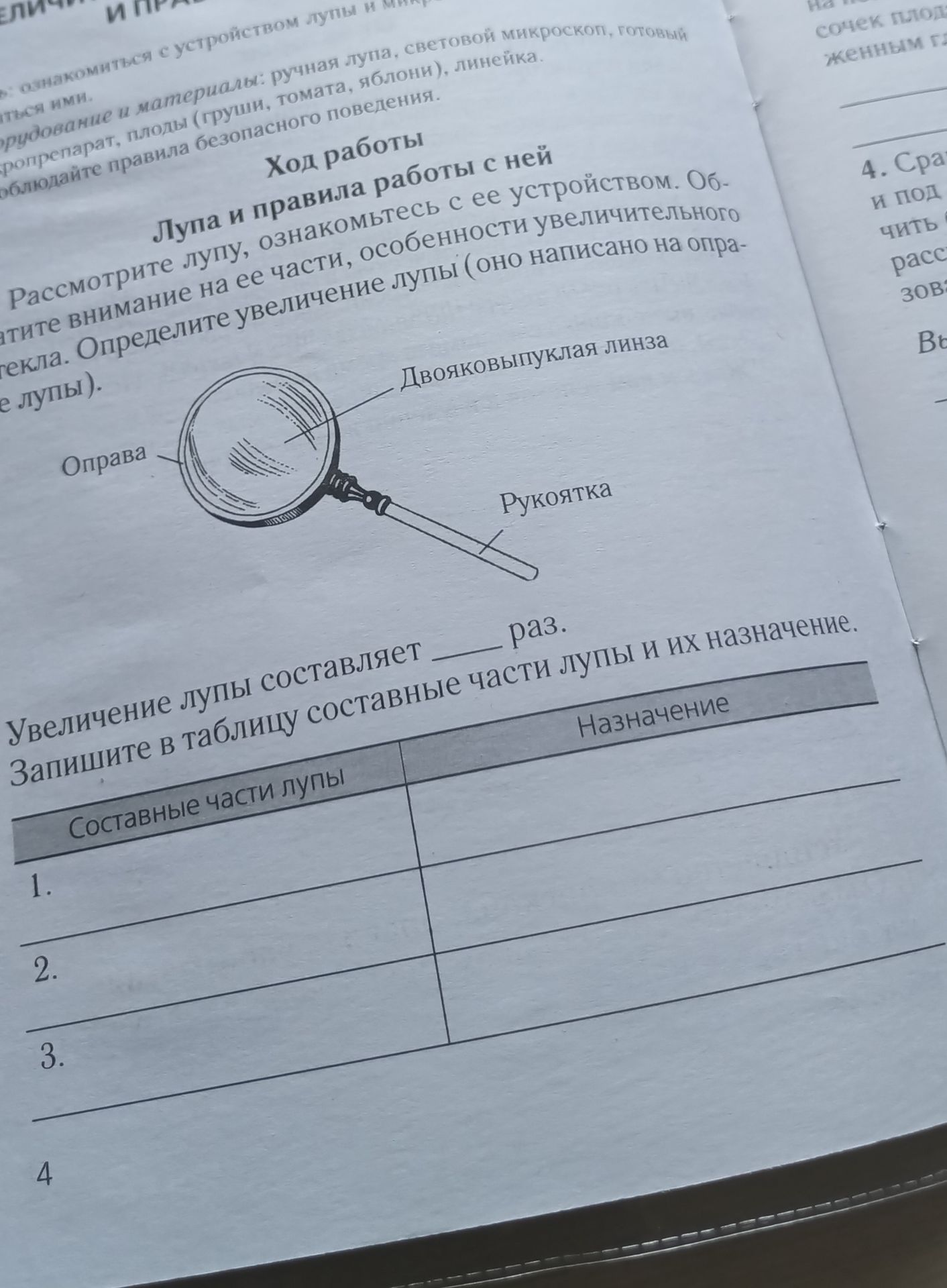 Фото задания: Рассмотрите лупу, ознакомьтесь с её устройством. Обратите внимание на её части, особенности увеличительного стекла.…