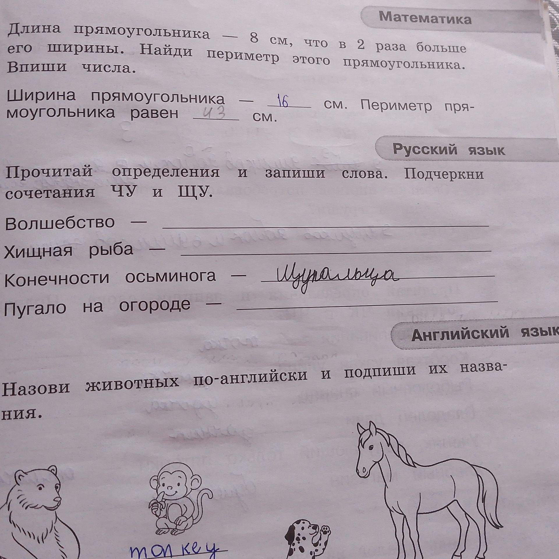 Фото задания: Назови животных по-английски и подпиши их названия.