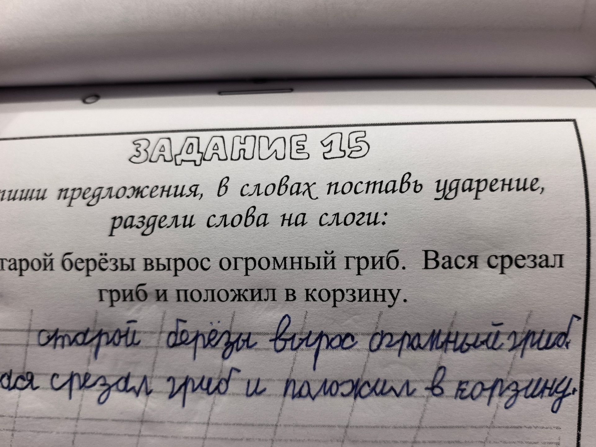 Фото задания: Поставь ударение в словах, раздели слова на слоги: старой берёзы вырос огромный гриб. Вася срезал гриб и положил в корзину.