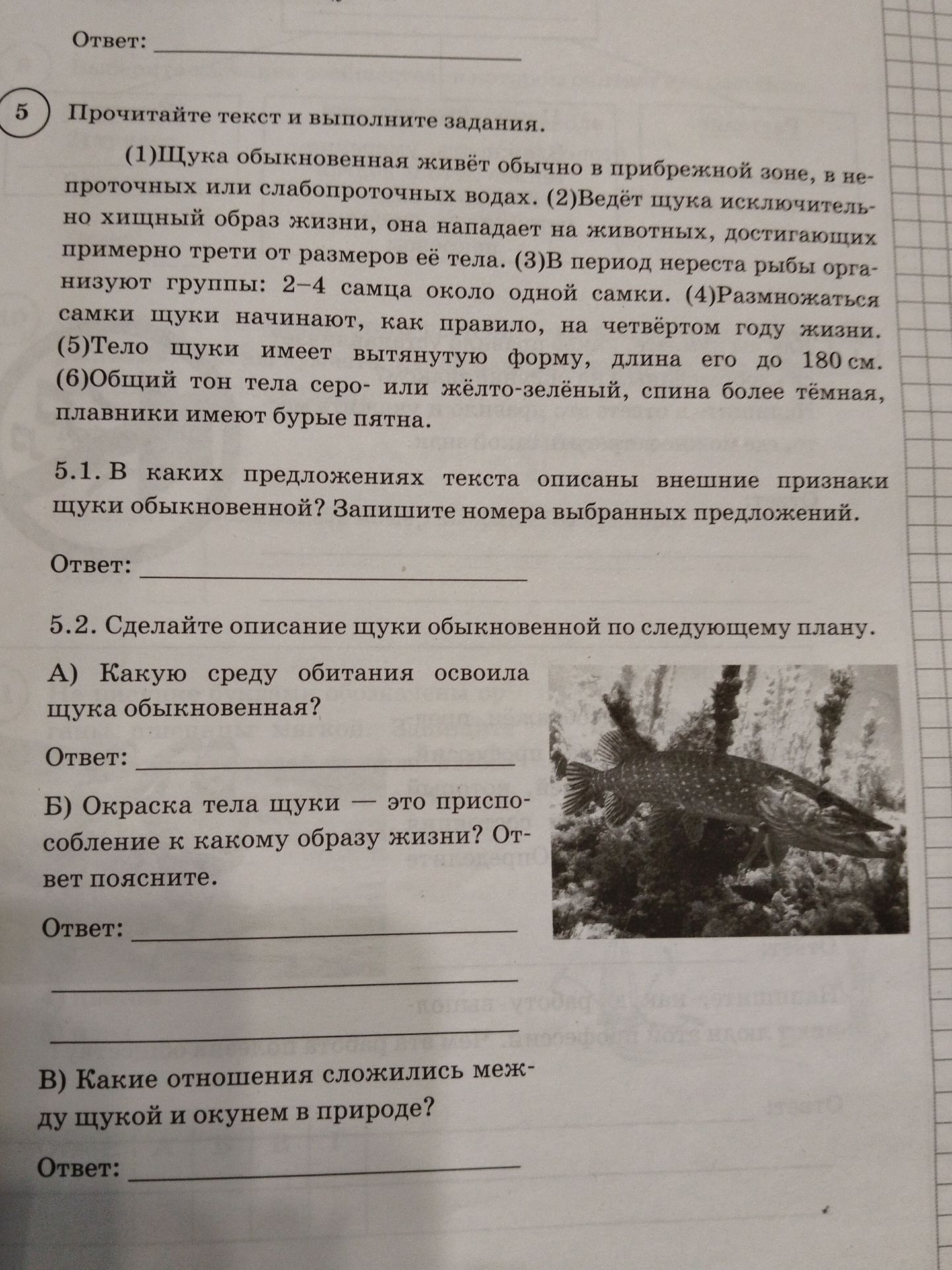Фото задания: 5.1. В каких предложениях текста описаны внешние признаки щуки обыкновенной? Запишите номера выбранных предложений.