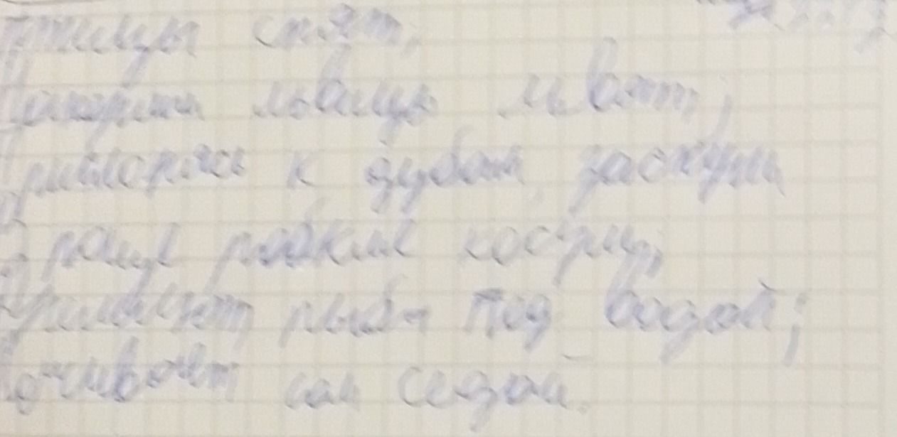 Фото задания: Текст рукописного задания на изображении не удаётся достоверно распознать из-за низкого качества фотографии.