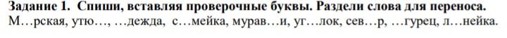 Фото задания: Задание 1. Спиши, вставляя проверочные буквы. Раздели слова для переноса. М…рская, уто…, …ждёжа, с…мейка, мурав…и, уг…лок,…