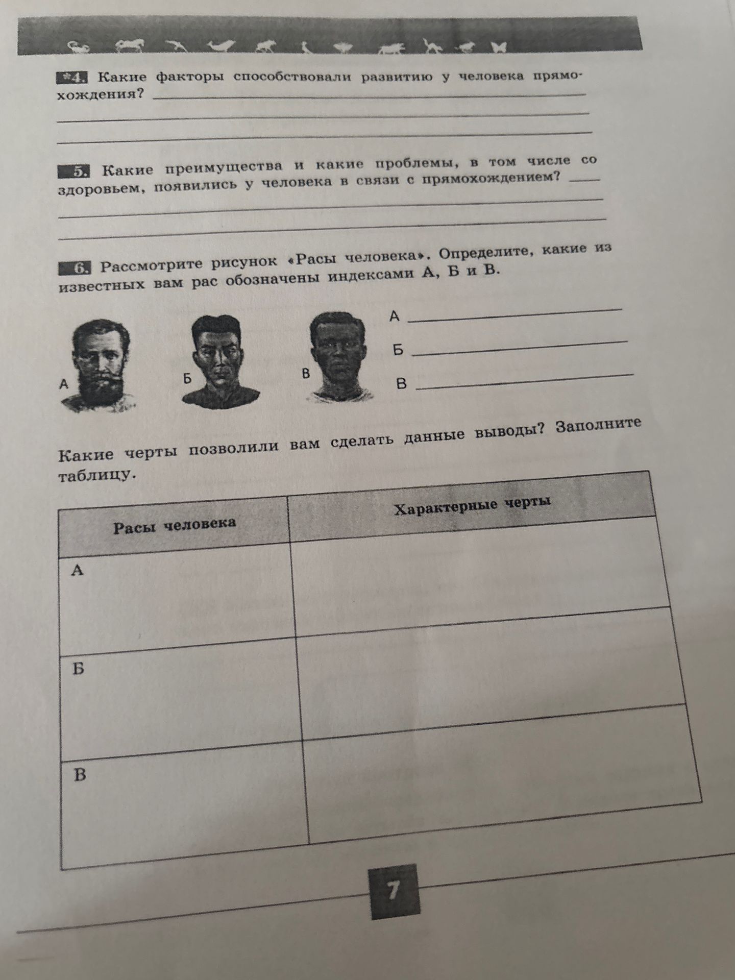 Фото задания: Рассмотрите рисунок «Расы человека». Определите, какие из известных вам рас обозначены индексами А, Б и В. Какие черты…