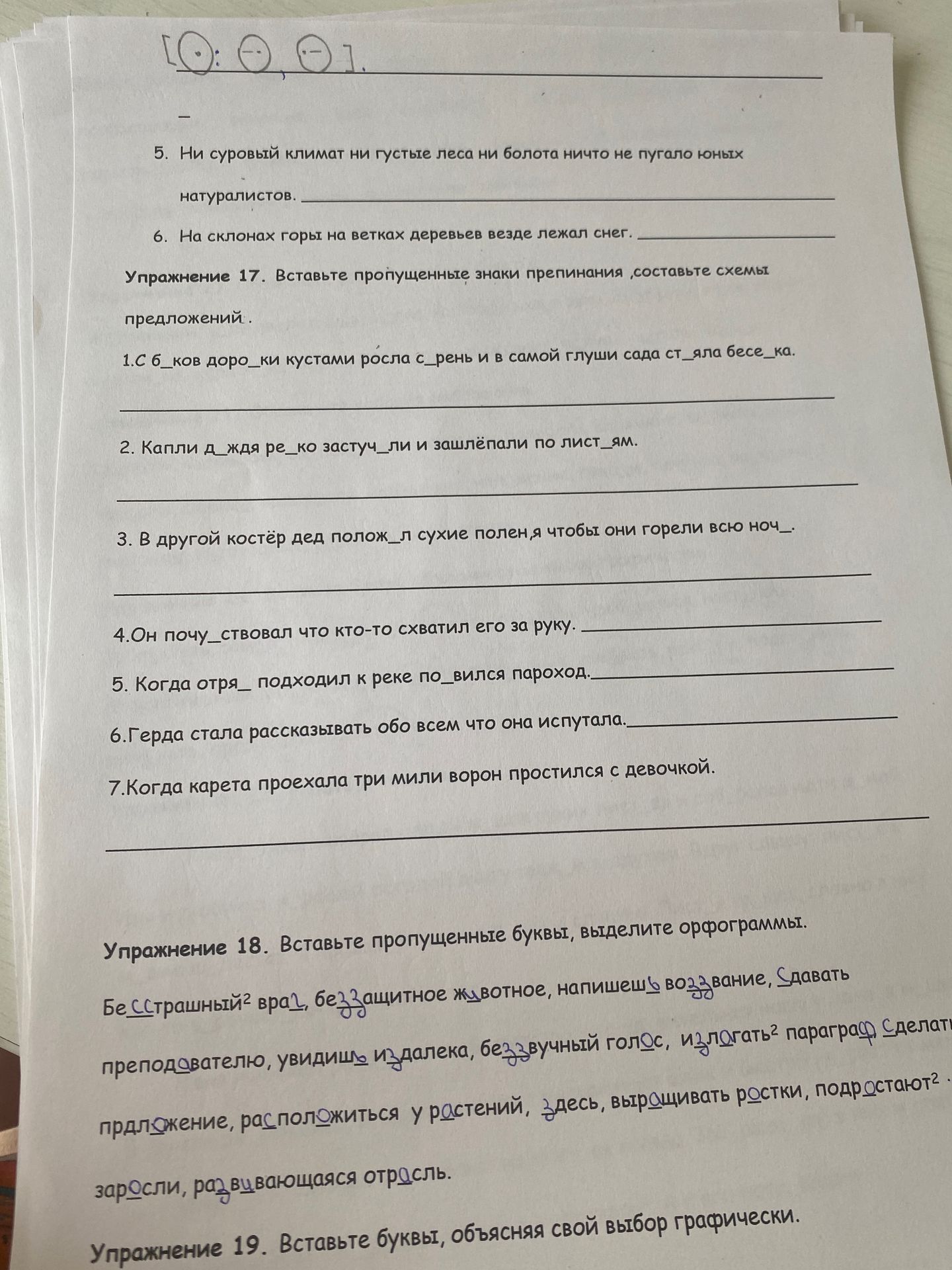 Фото задания: Упражнение 17. Вставьте пропущенные знаки препинания, составьте схемы предложений. 1) С обоков дорожки кустами росла сирень и…