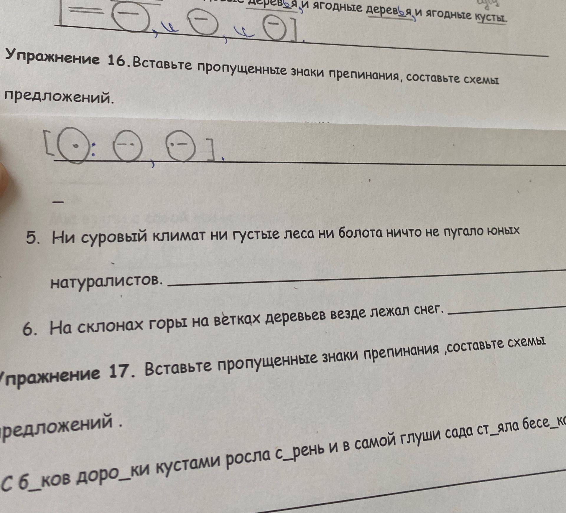 Фото задания: Упражнение 16. Вставьте пропущенные знаки препинания, составьте схемы предложений. 5) Ни суровый климат ни густые леса ни…