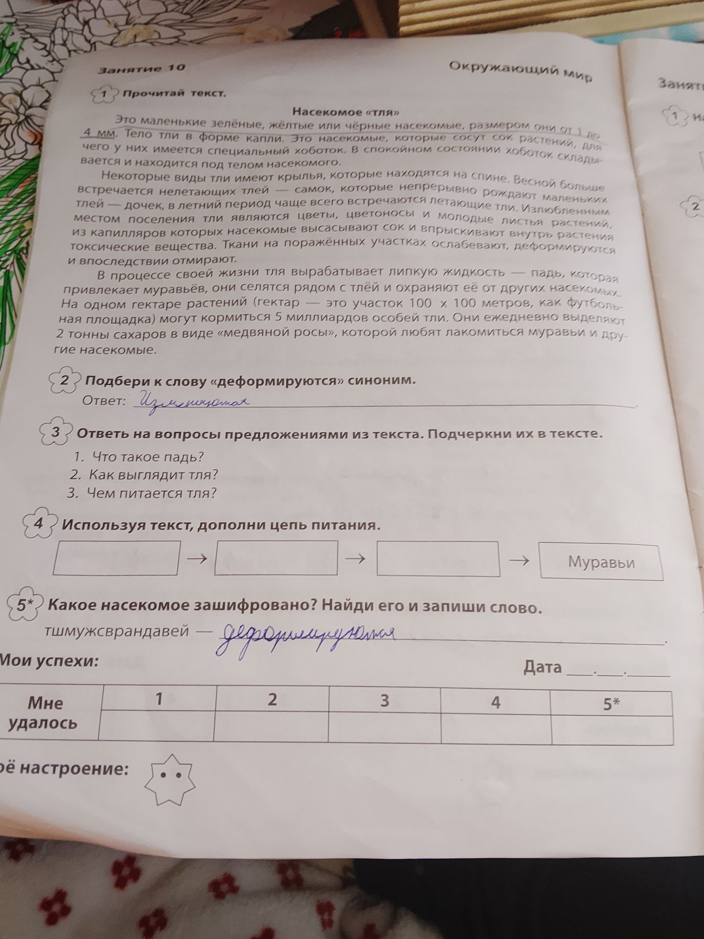Фото задания: Используя текст, дополни цепь питания: [растение] → [тля] → [падь] → Муравьи.