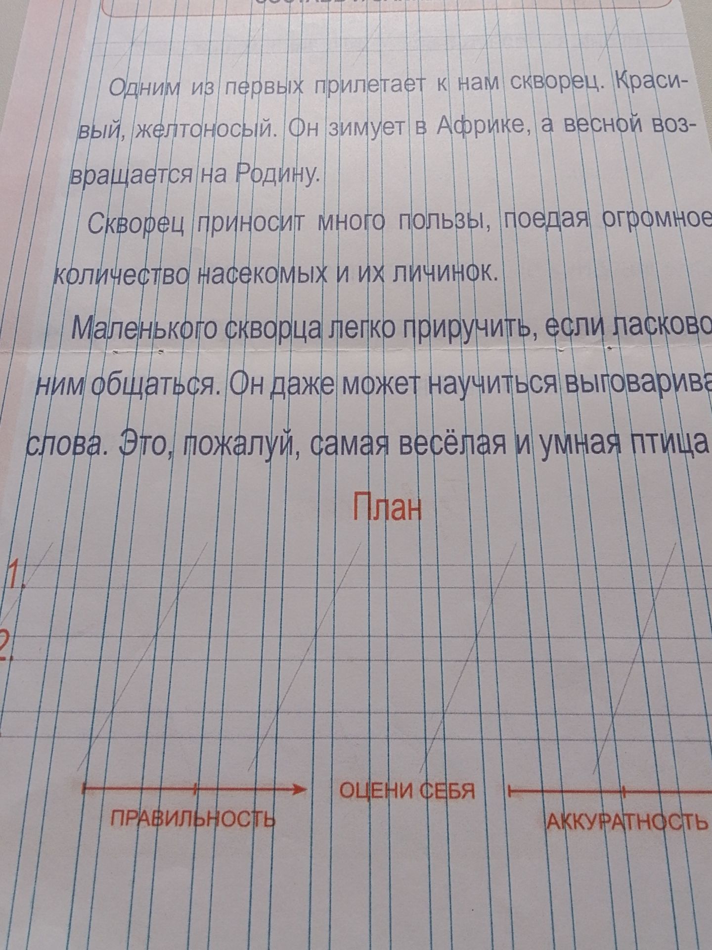 Фото задания: Выполнить план текста о скворце.