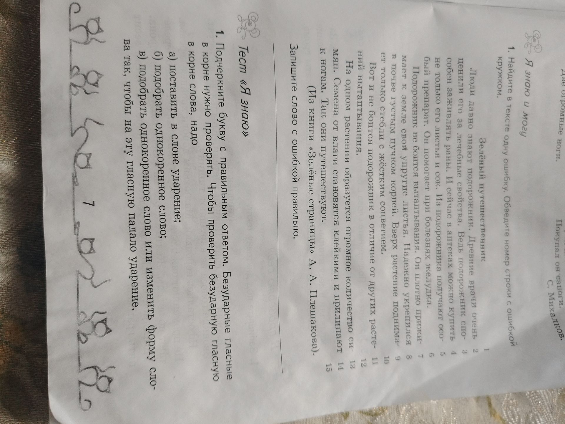 Фото задания: Найдите в тексте одну ошибку. Обведите номер строки с ошибкой.