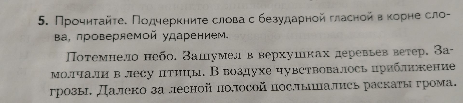 Фото задания: Прочитайте. Подчеркните слова с безударной гласной в корне слова, проверяемой ударением. Потемнело небо. Зашумел в…