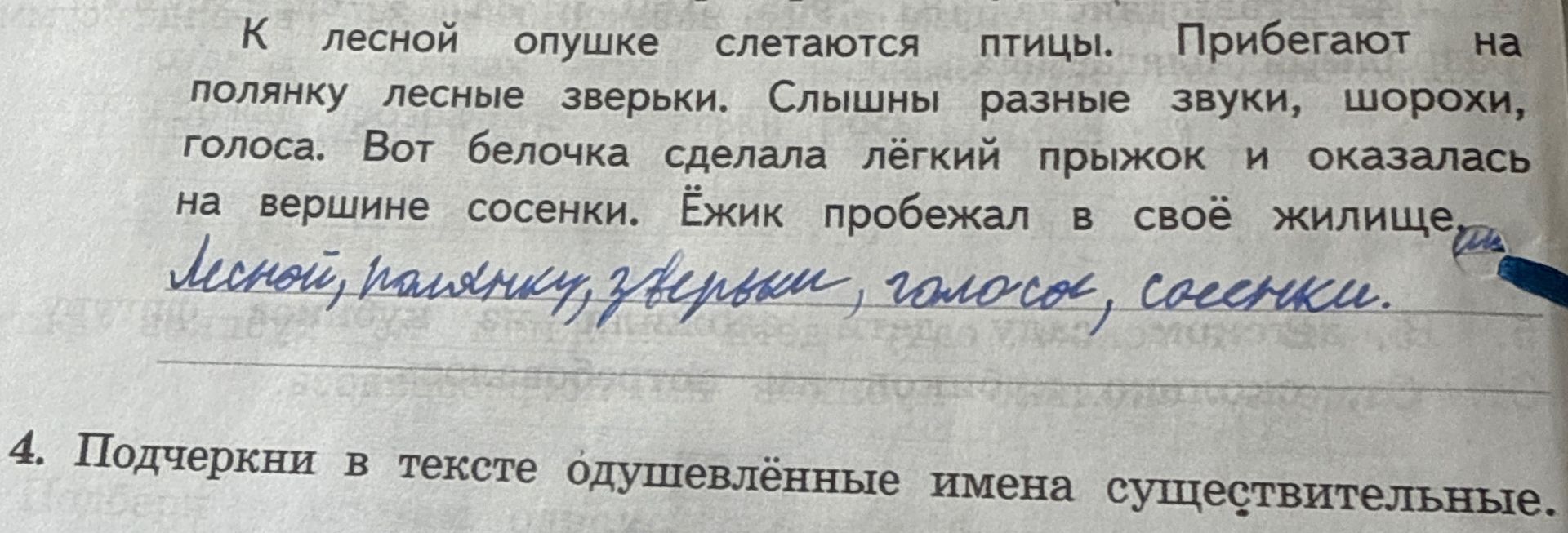 Фото задания: Подчеркни в тексте одушевлённые имена существительные. Текст: «К лесной опушке слетаются птицы. Прибегают на полянку лесные…