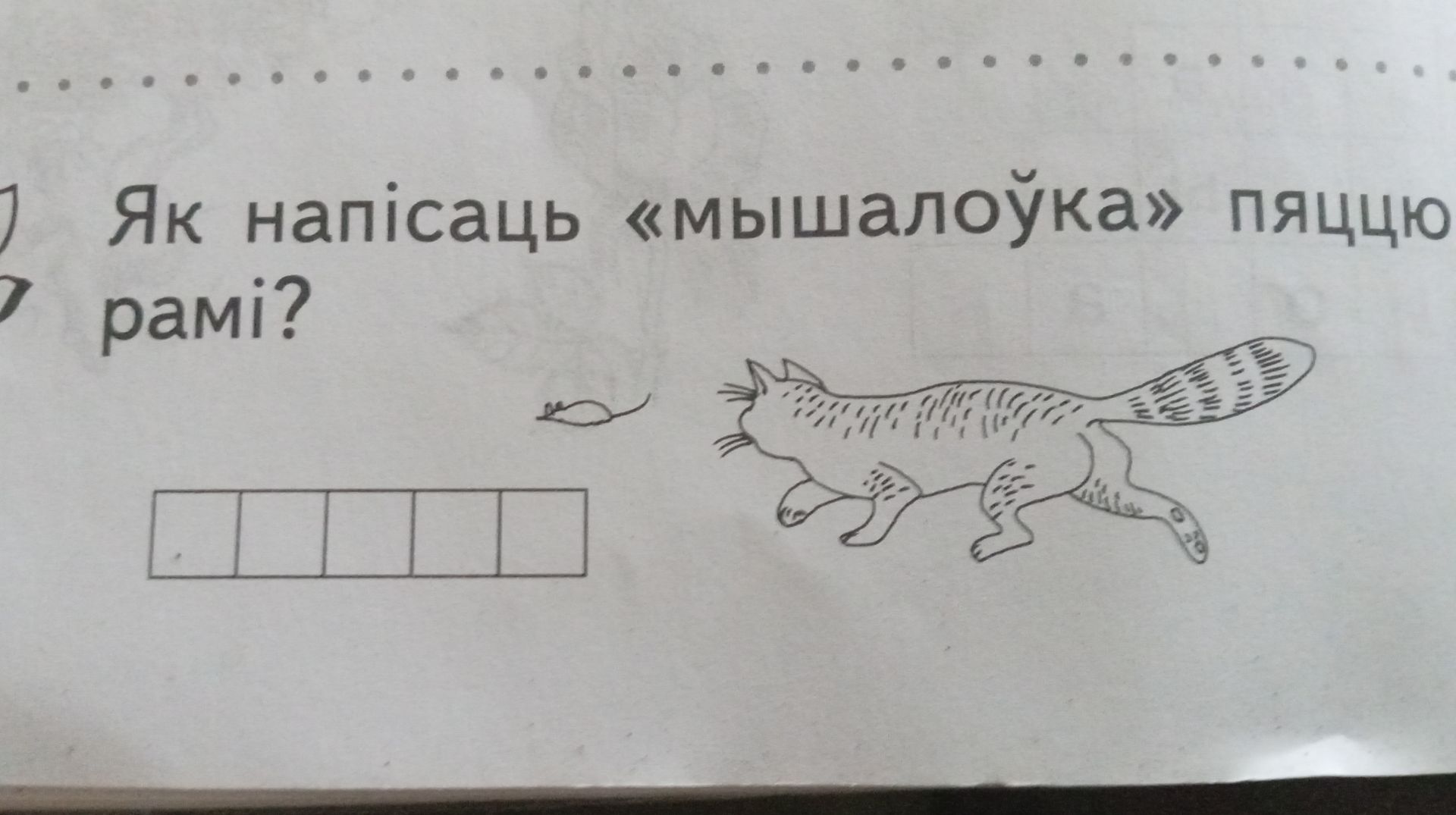 Фото задания: Як напісаць «мышалоўка» пяцьцю літарамі?