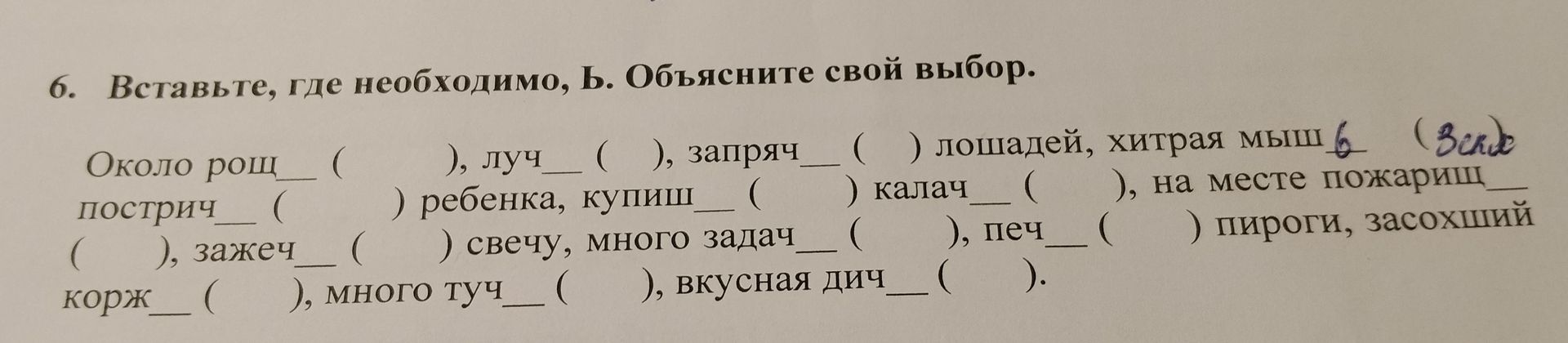 Фото задания: 6. Вставьте, где необходимо, ь. Объясните свой выбор: Около рощ..., луч..., запряч... лошадей, хитрая мыш..., пострич...…