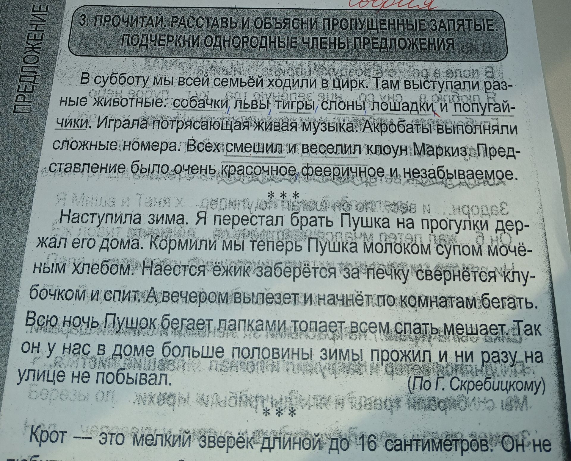 Фото задания: Прочитай. Расставь и объясни пропущенные запятые. Подчеркни однородные члены предложения: «В субботу мы всей семьёй ходили…