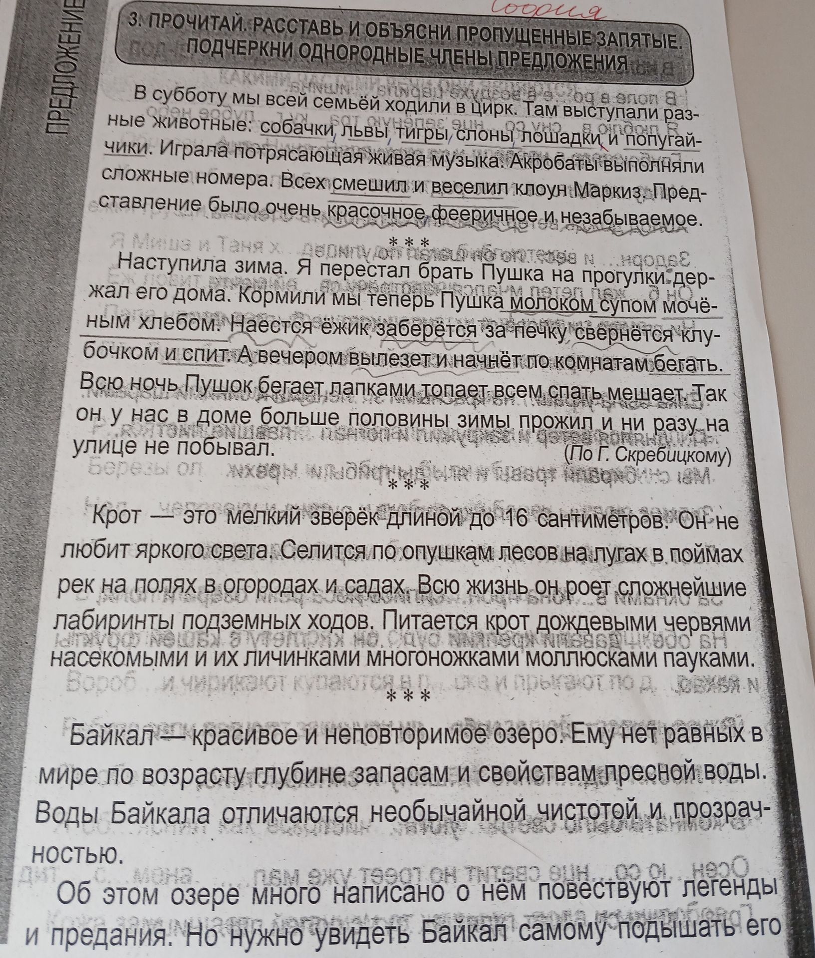 Фото задания: Прочитай текст, расставь пропущенные запятые и подчеркни однородные члены предложения: «Крот — это мелкий зверёк длиной до 16…