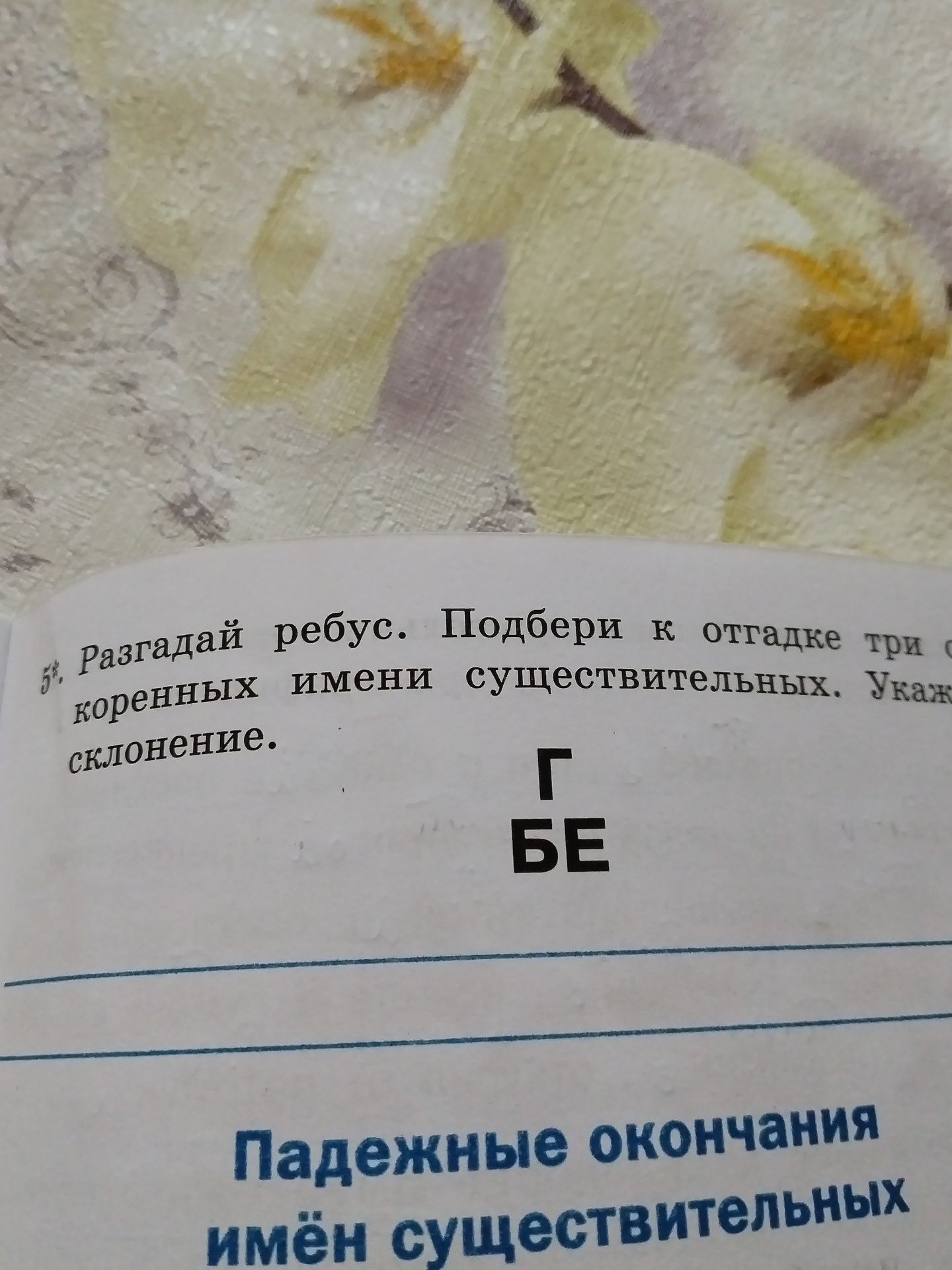 Фото задания: Разгадай ребус. Подбери к отгадке три однокоренных имени существительных. Укажи склонение.