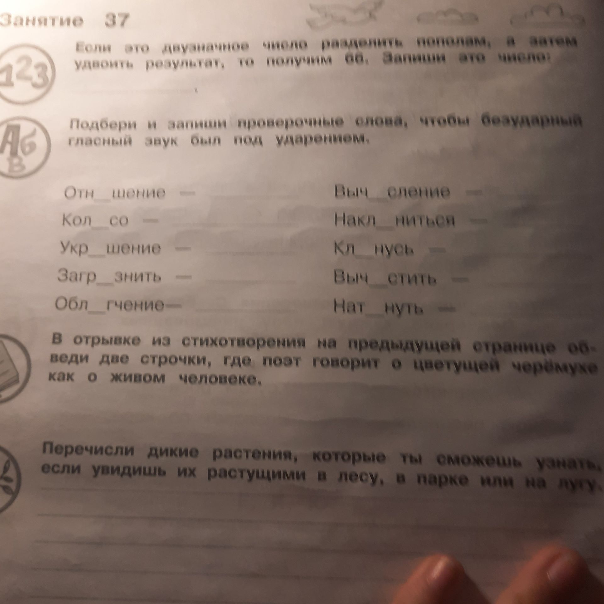 Фото задания: Если это двустворчатое растение растёт вертикально, а верхний результат не получил образец, то почему всё зависит от наличия?…