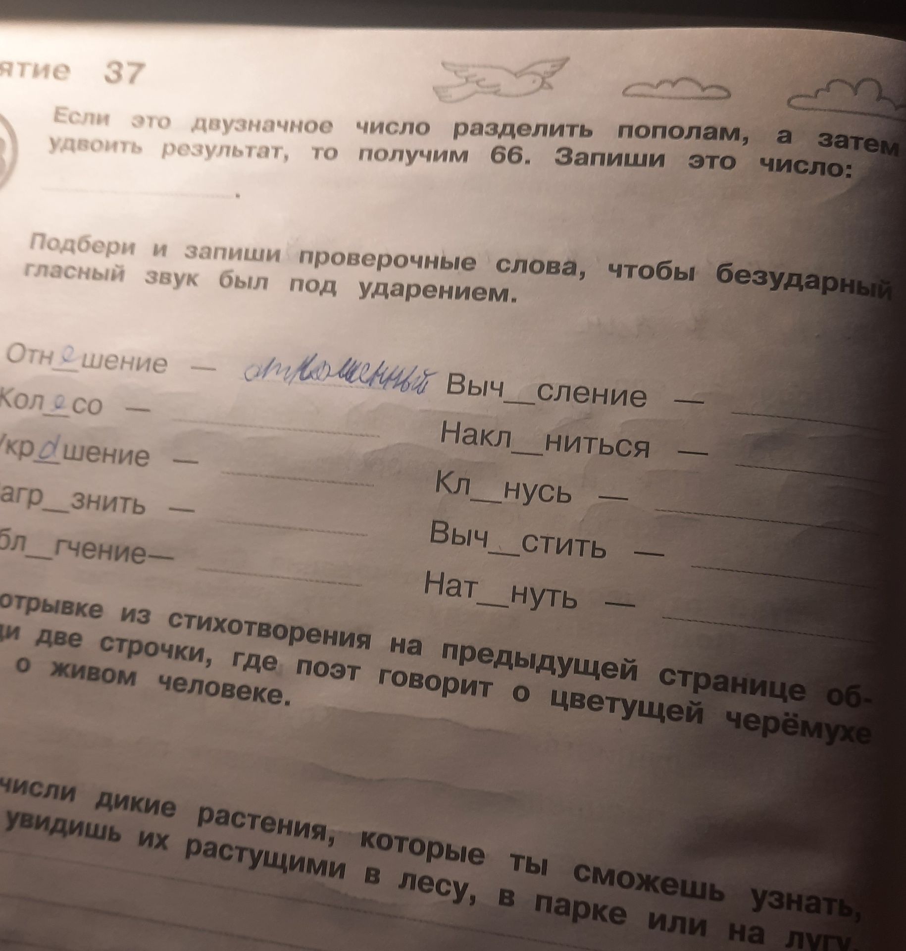 Фото задания: Подбери и запиши проверочные слова, чтобы безударный гласный звук был под ударением: Отношение —; колосо —; окружение —;…