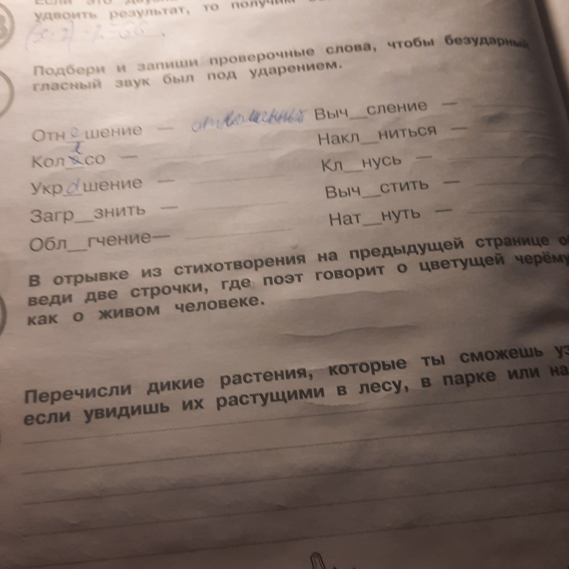 Фото задания: Подбери и запиши проверочные слова, чтобы безударный гласный звук был под ударением: отношение — …; количество — …; укрощение…
