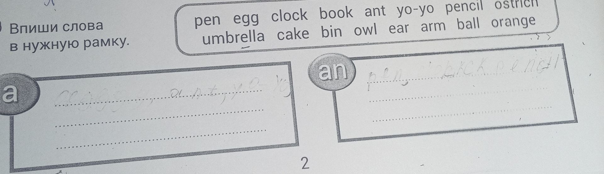 Фото задания: Впиши слова в нужную рамку. Слова: pen, egg, clock, book, ant, yo-yo, pencil, ostrich, umbrella, cake, bin, owl, ear, arm,…