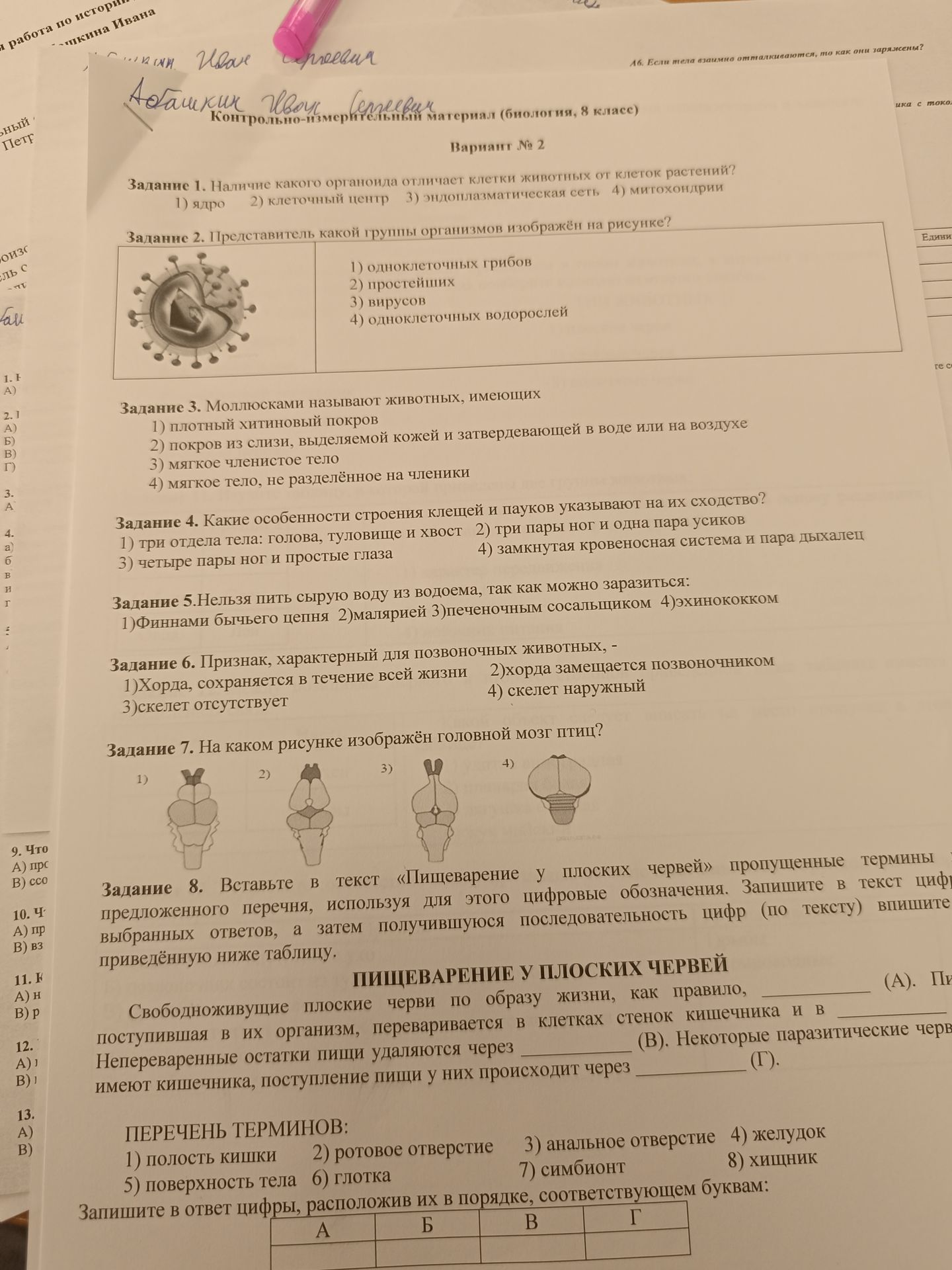 Фото задания: Задание 3. Моллюсками называют животных, имеющих: 1) плотный хитиновый покров; 2) покров из слизи, выделяемой кожей и…