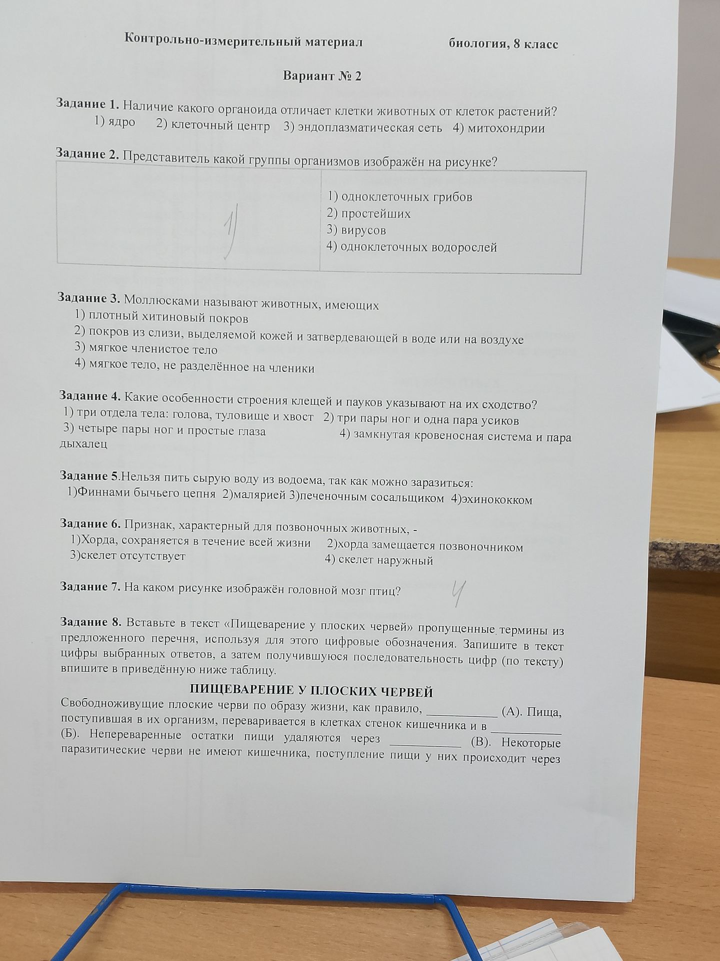 Фото задания: Задание 7. На каком рисунке изображён головной мозг птицы?