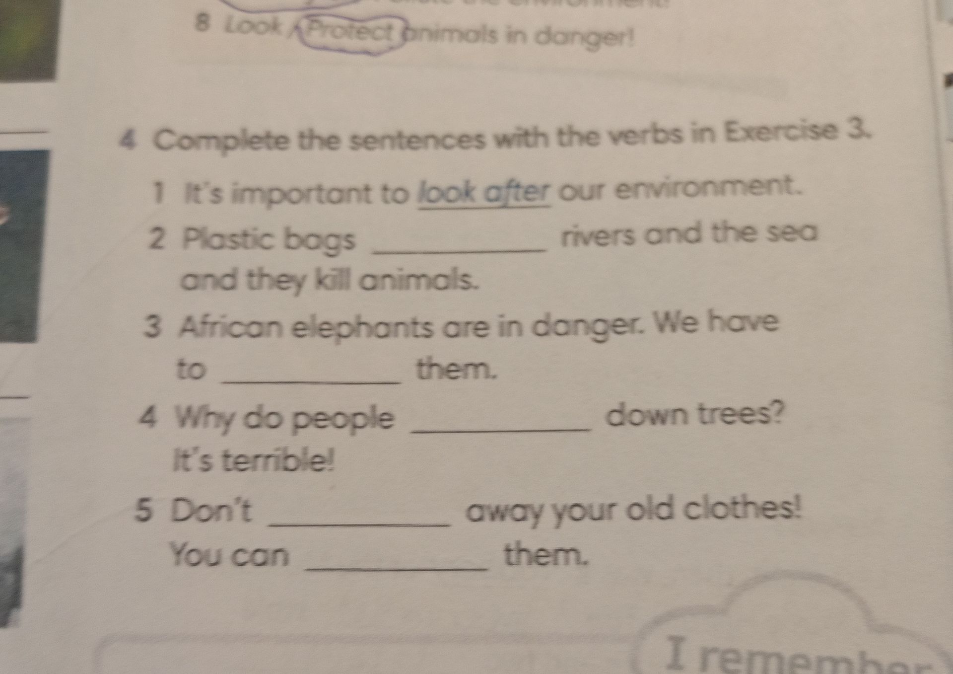 Фото задания: Complete the sentences with the verbs in Exercise 3: 1) It’s important to look after our environment. 2) Plastic bags…