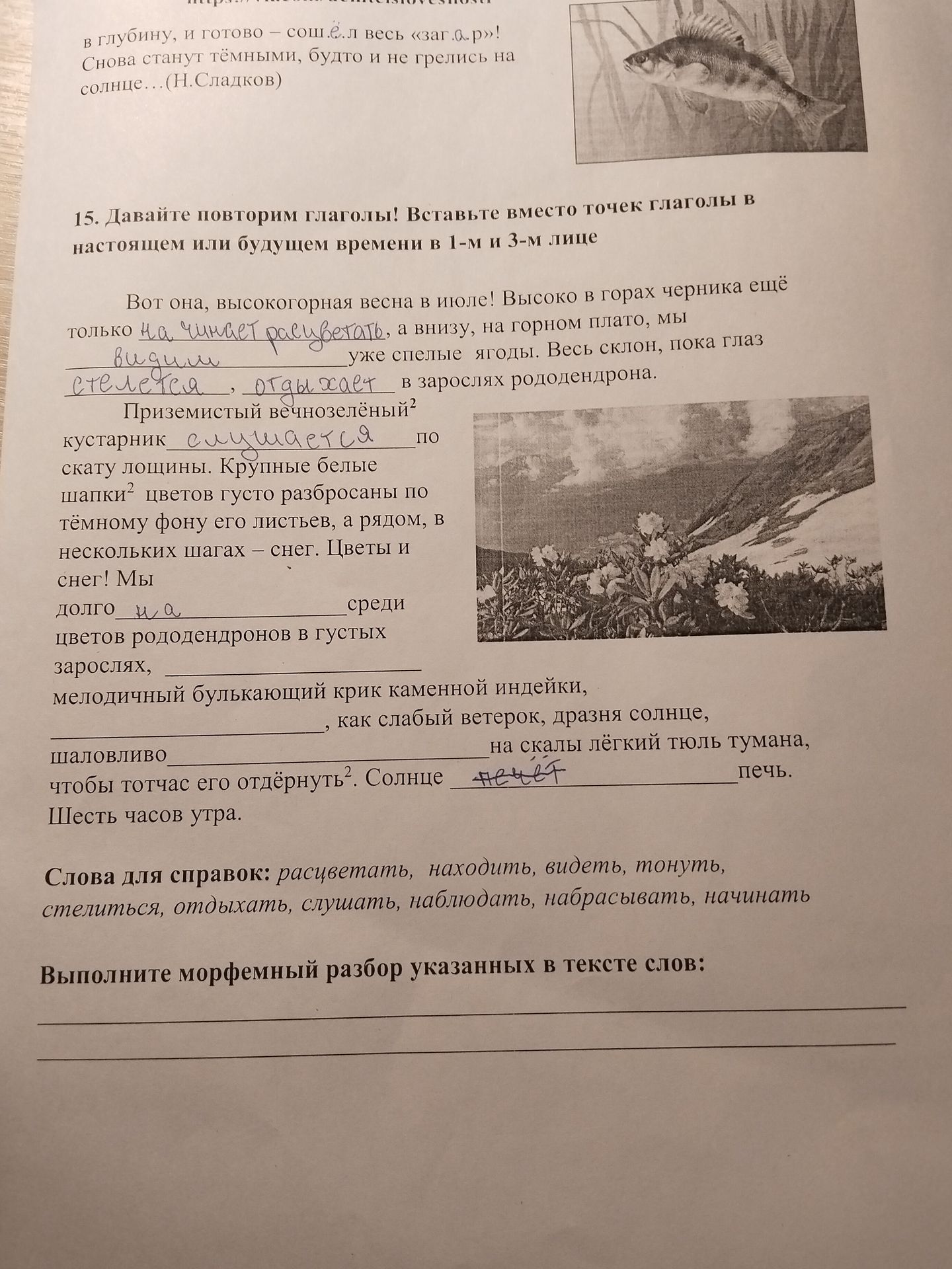 Фото задания: Выполните морфемный разбор указанных в тексте слов: приземистый², шапки², отдёрнуть².