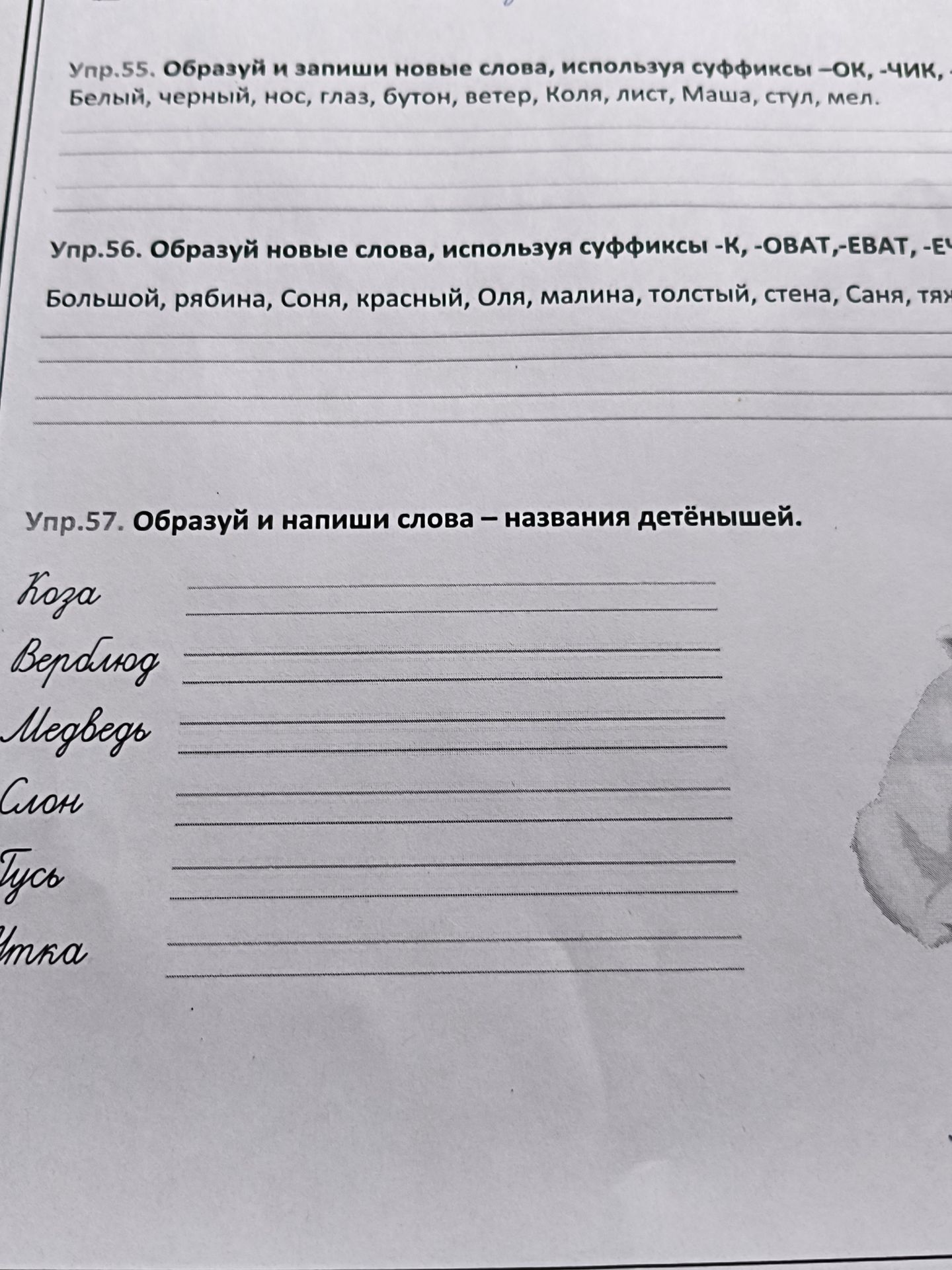 Фото задания: Упр. 56. Образуй новые слова, используя суффиксы -к-, -оват-, -еват-, -еньк-: большой, рябина, Соня, красный, Оля, малина,…