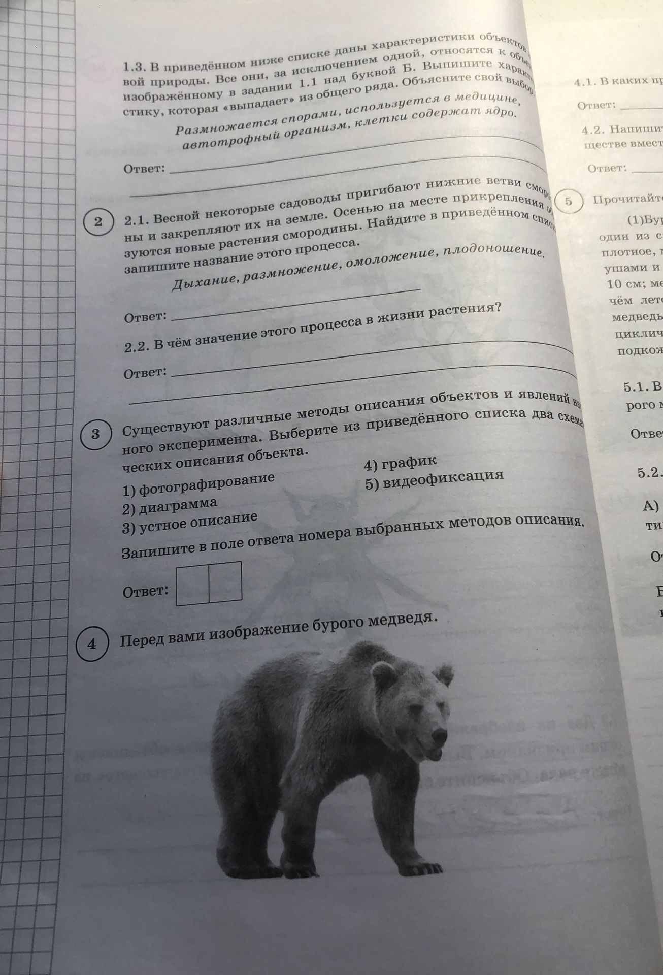 Фото задания: 2.1. Весной некоторые садоводы пригибают нижние ветви смородины к земле и закрепляют их на земле. Осенью на месте…