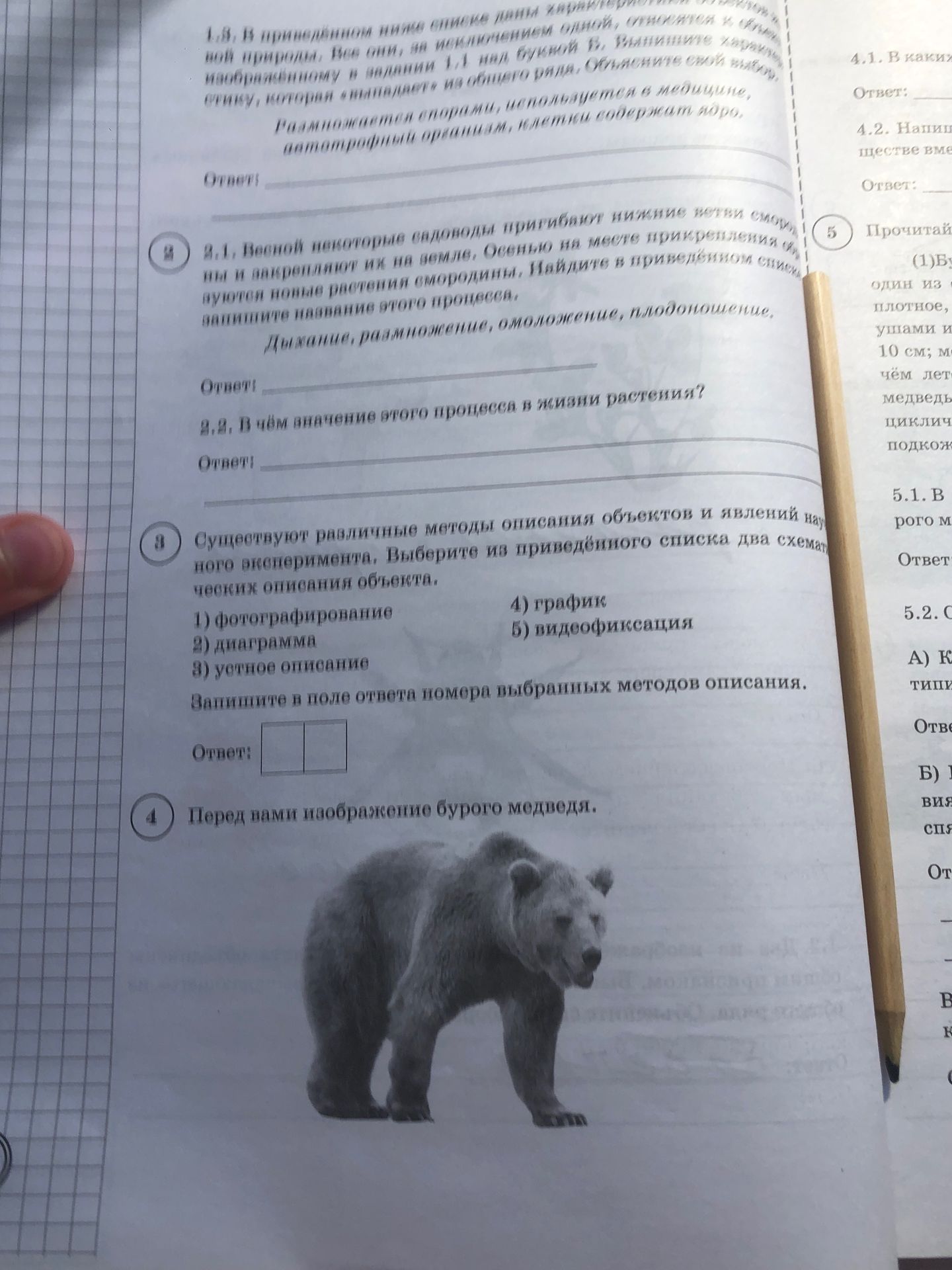 Фото задания: 8.2. В чём значение этого процесса в жизни растения?
