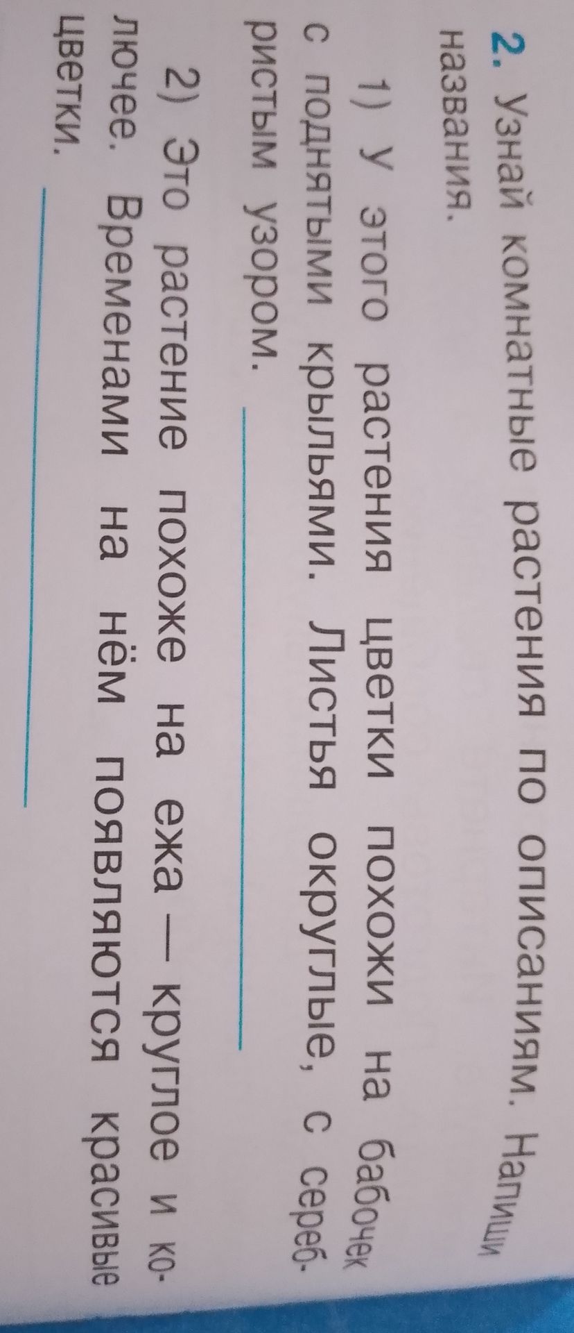 Фото задания: 2. Узнай комнатные растения по описаниям. Напиши названия. 1) У этого растения цветки похожи на бабочек и поднятыми крыльями.…