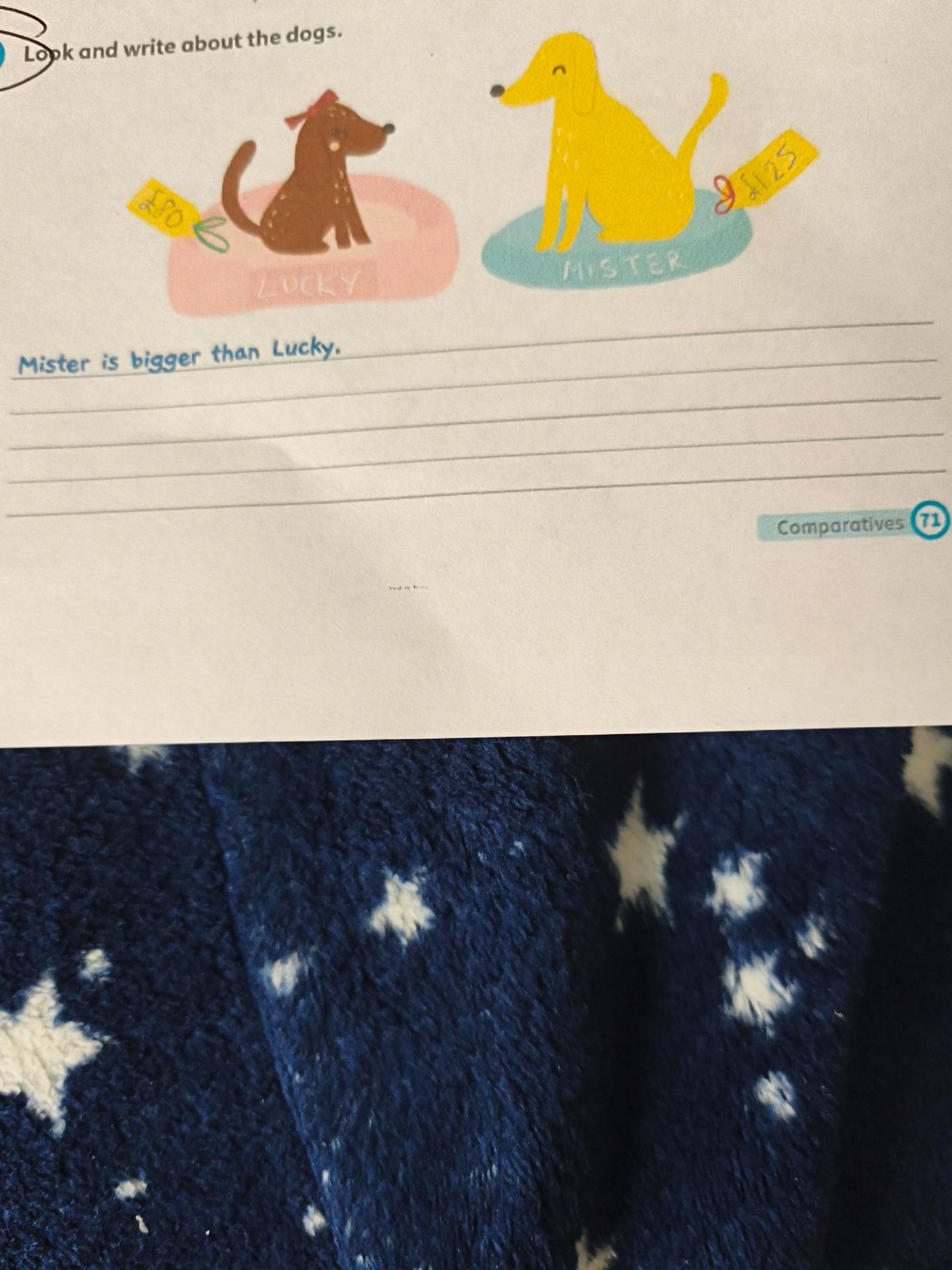 Фото задания: Look and write about the dogs. Use the comparative form to compare Lucky and Mister.