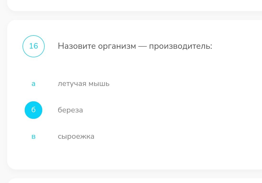 Фото задания: Назовите организм — производитель: а) летучая мышь; б) берёза; в) сыроежка.