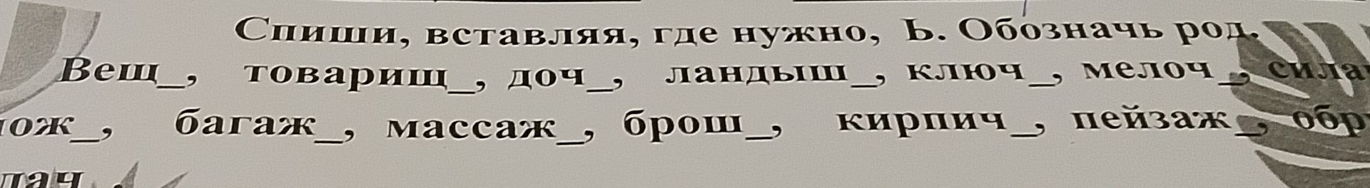 Фото задания: Спиши, вставляя, где нужно, ь. Обозначь род. Вещ__, товарищ__, дочь__, ландыш__, ключ__, мелоч__, силач__, багаж__, массаж__,…