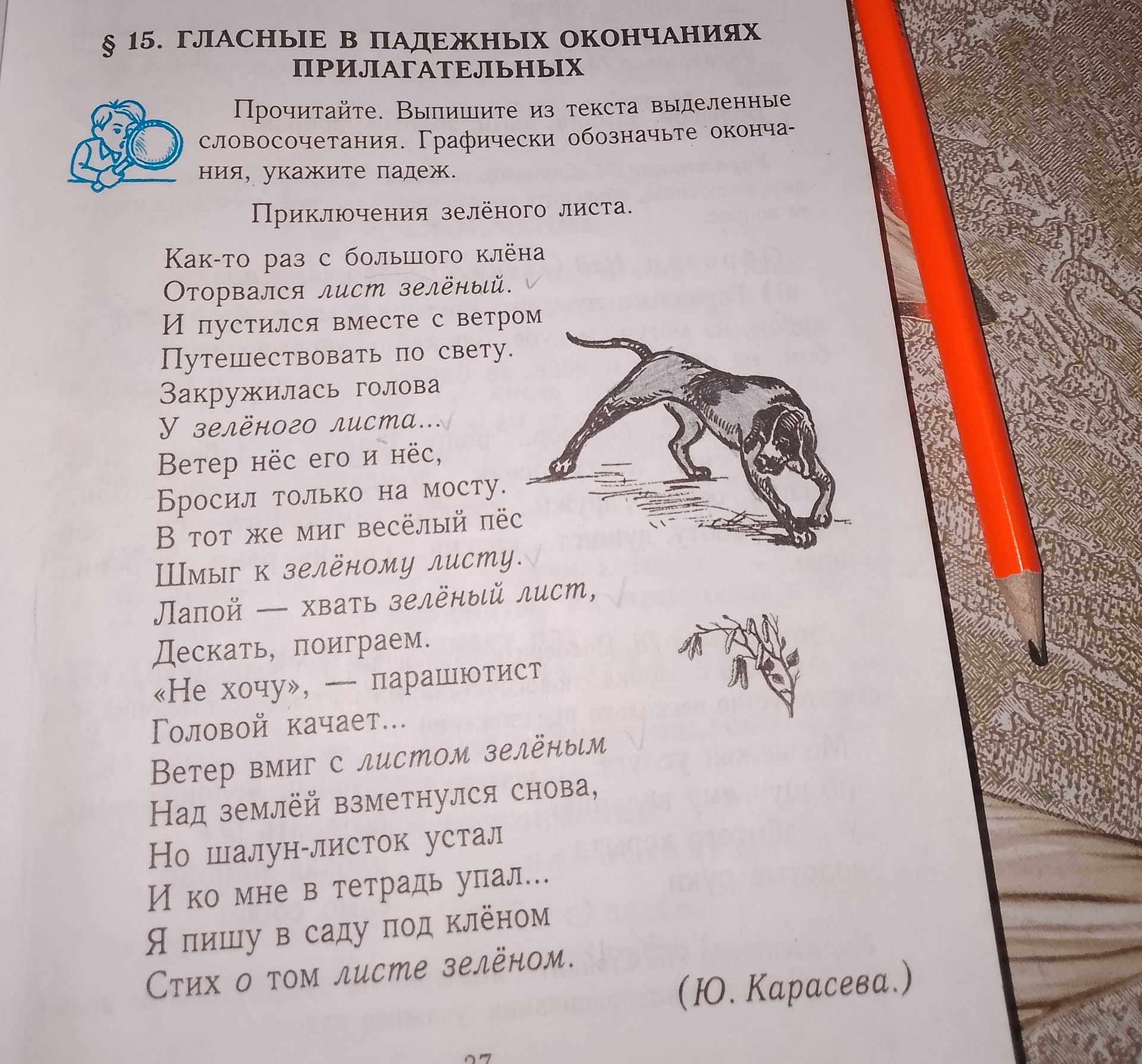 Фото задания: Прочитайте. Выпишите из текста выделенные словосочетания. Графически обозначьте окончания, укажите падеж.