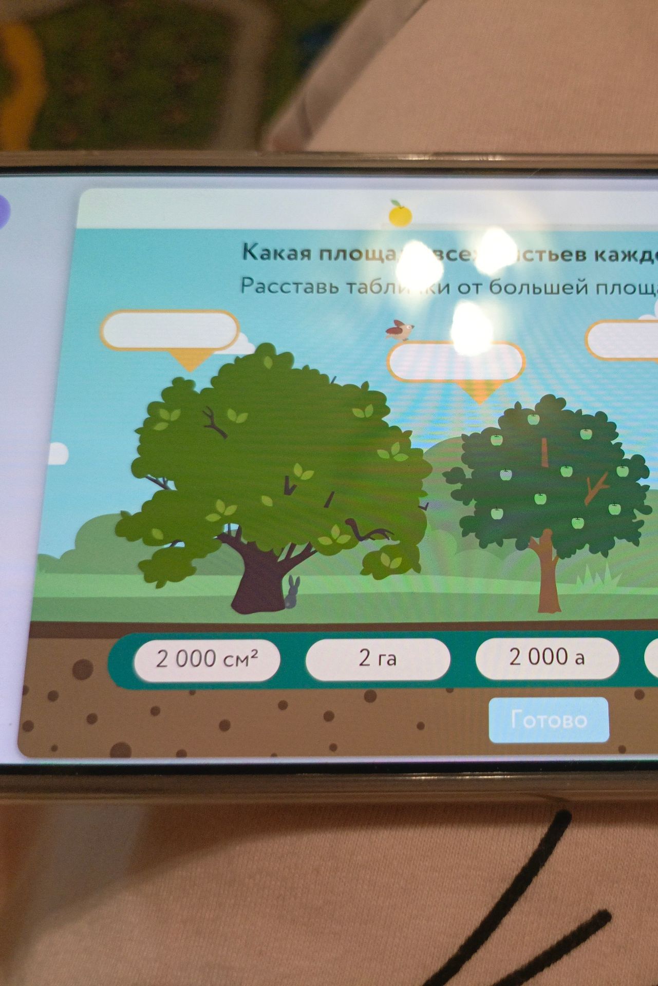 Фото задания: Какая площадь больше? Расставь таблички от большей площади к меньшей: 2 000 см², 2 га, 2 000 а.