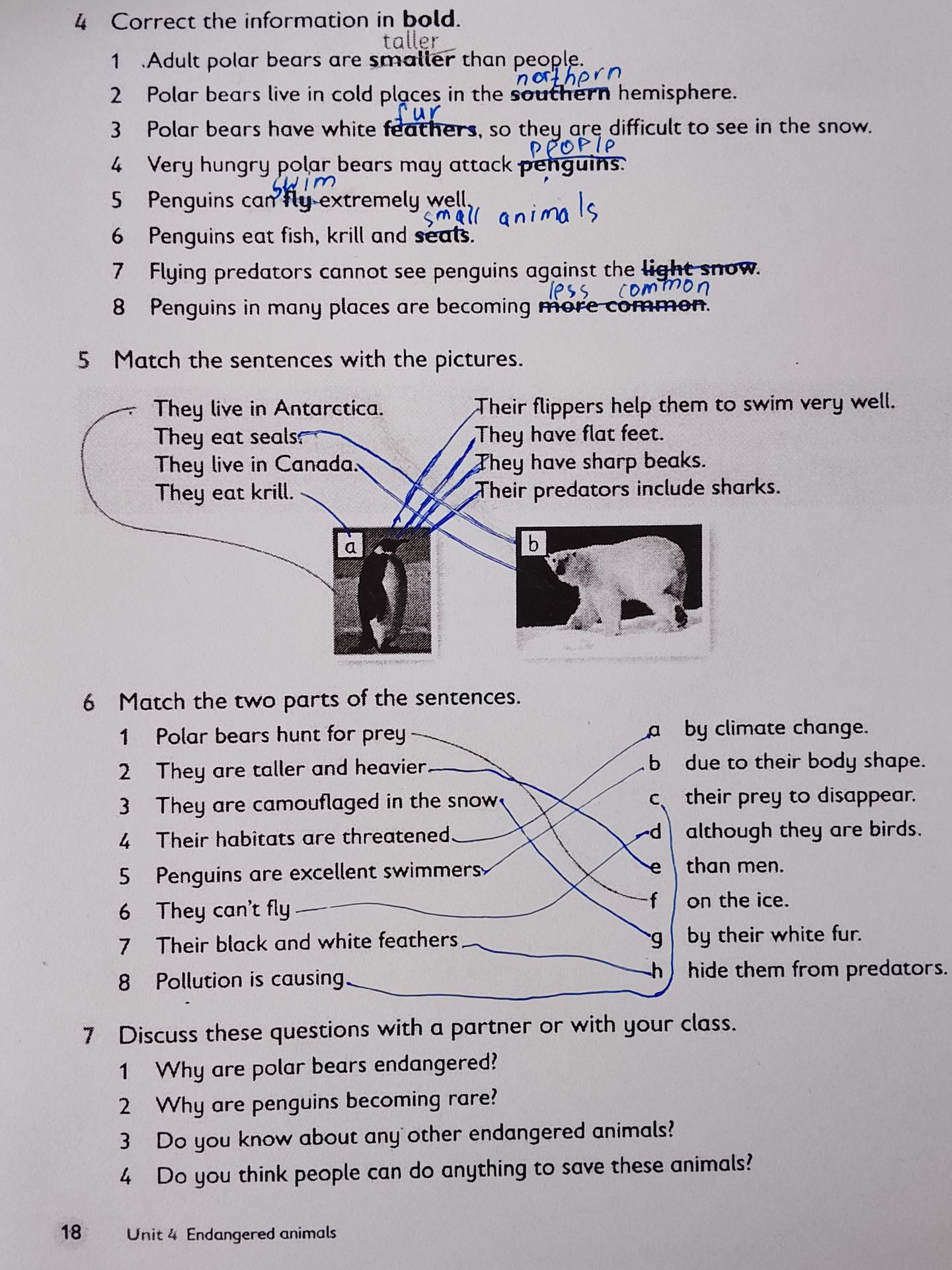 Фото задания: 6. Match the two parts of the sentences. 1) Polar bears hunt for prey; 2) They are taller and heavier; 3) They are…