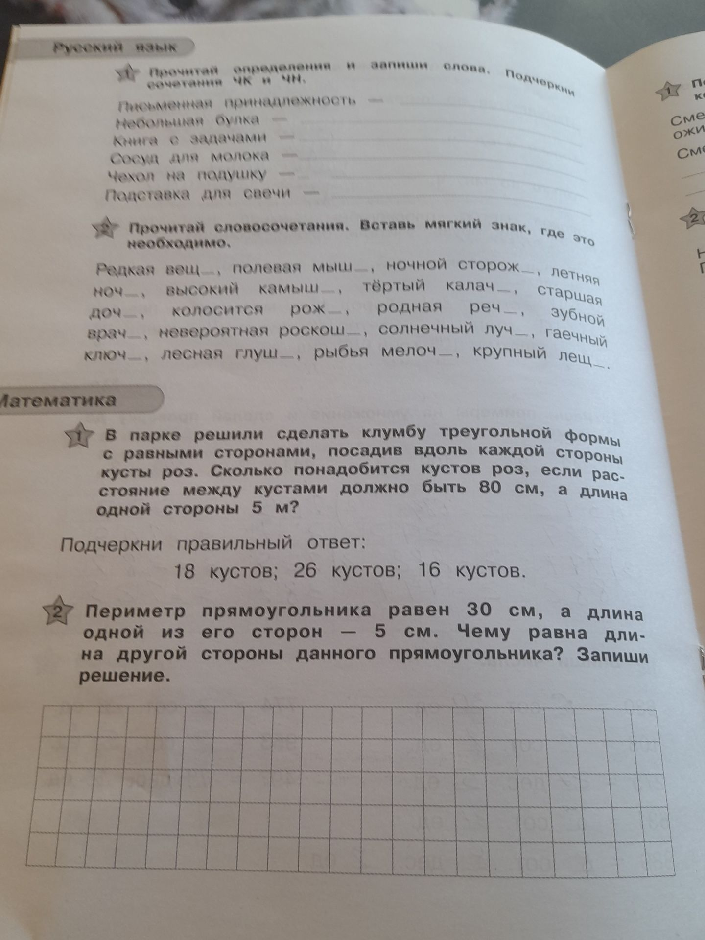 Фото задания: Прочитай словосочетания. Вставь мягкий знак, где это необходимо: редкая вещ..., полевая мыш..., ночной сторож..., летняя…